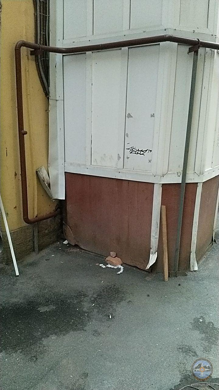 F22C3703-DAEB-43F6-8512-3782F6607AA7.jpeg