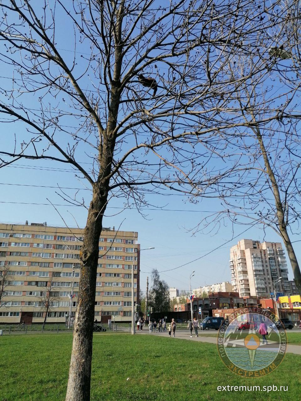 20210512_180511.jpg