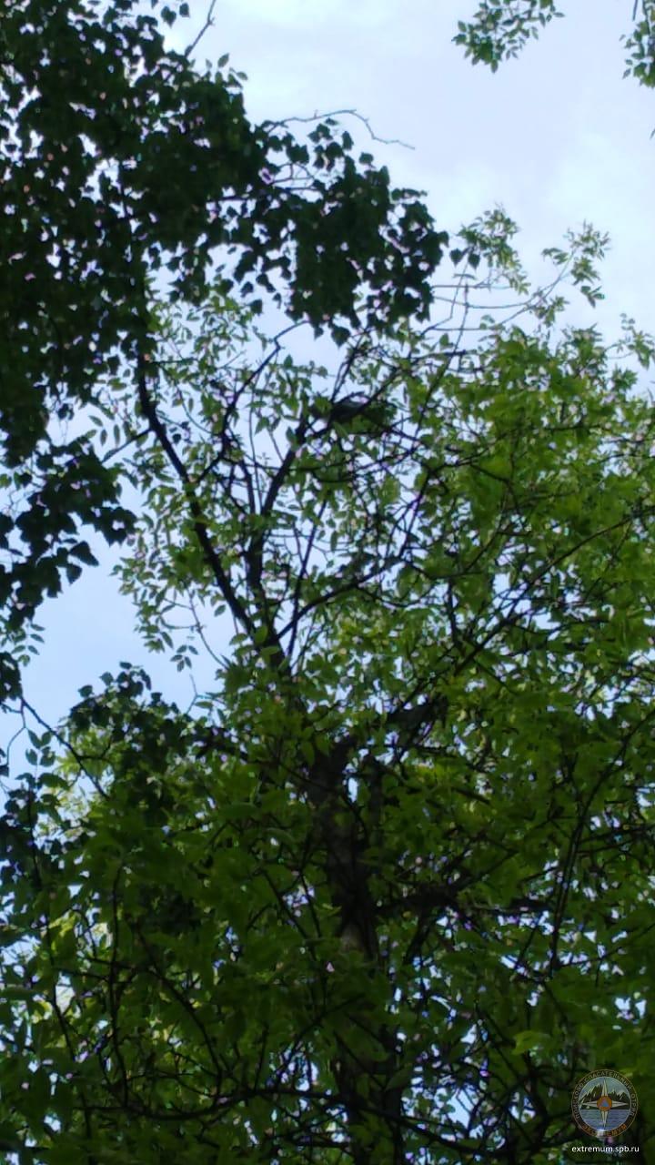 IMG-20210603-WA0001.jpg