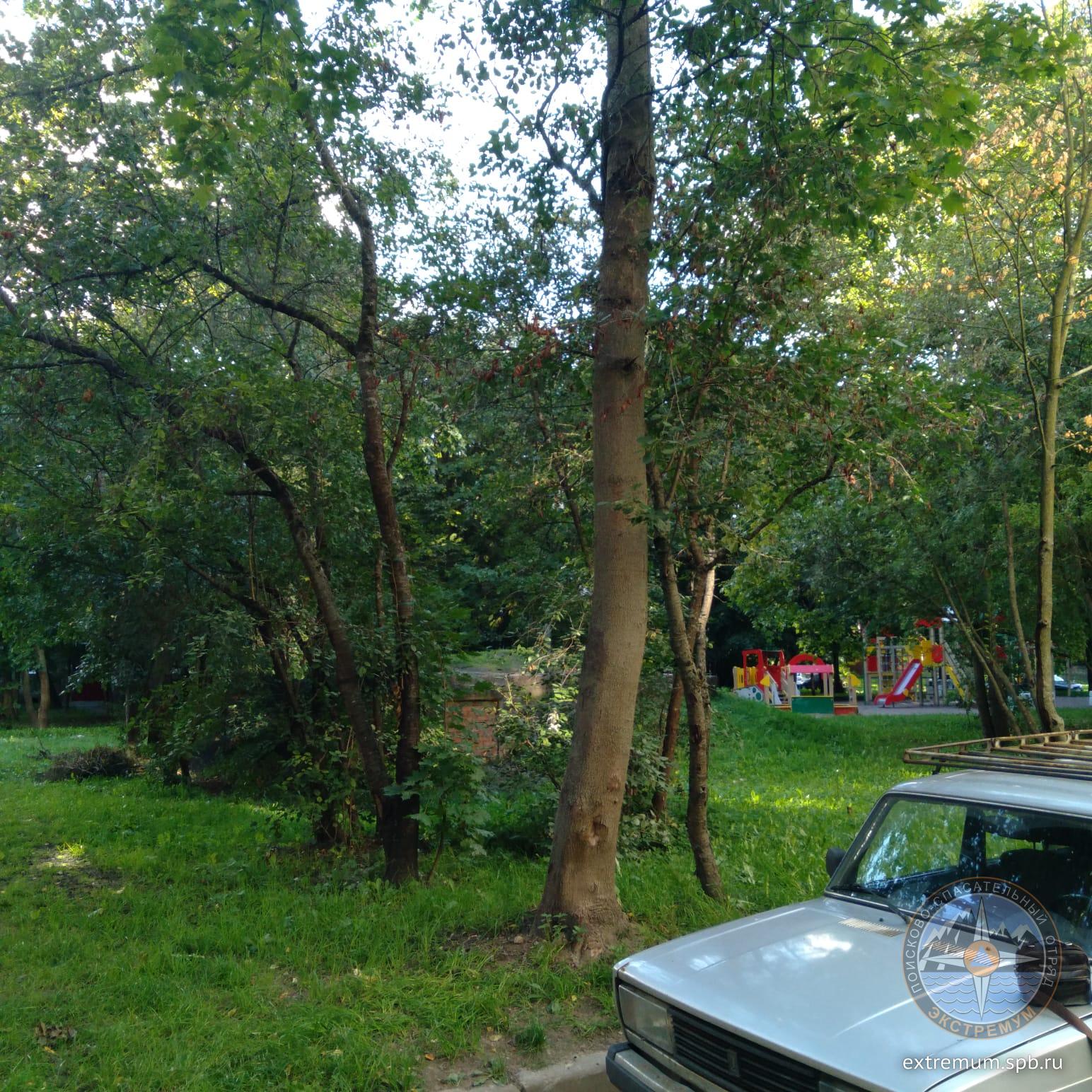 IMG-20210902-WA0001.jpg