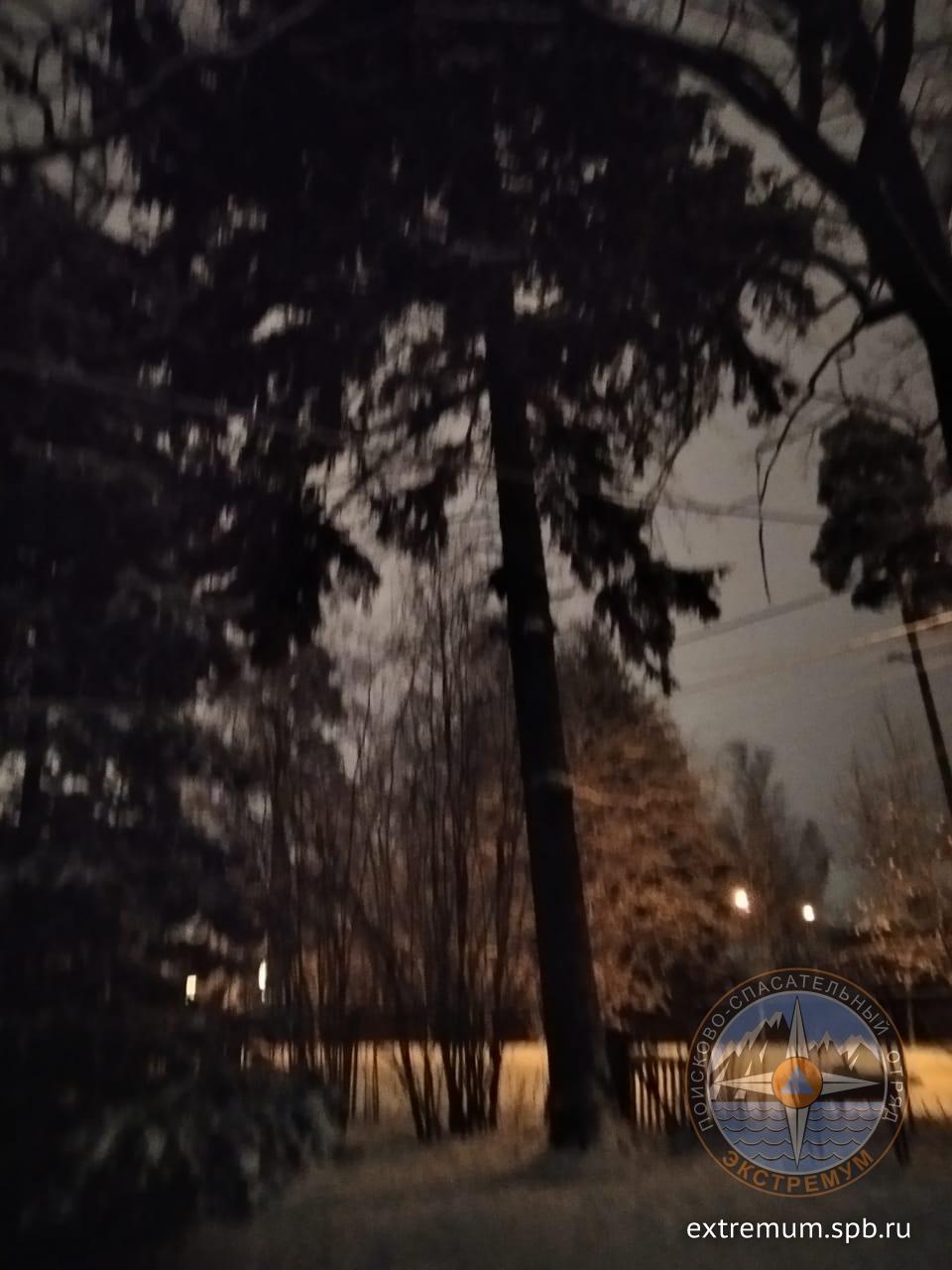 WhatsApp Image 2021-12-13 at 17.33.17.jpeg