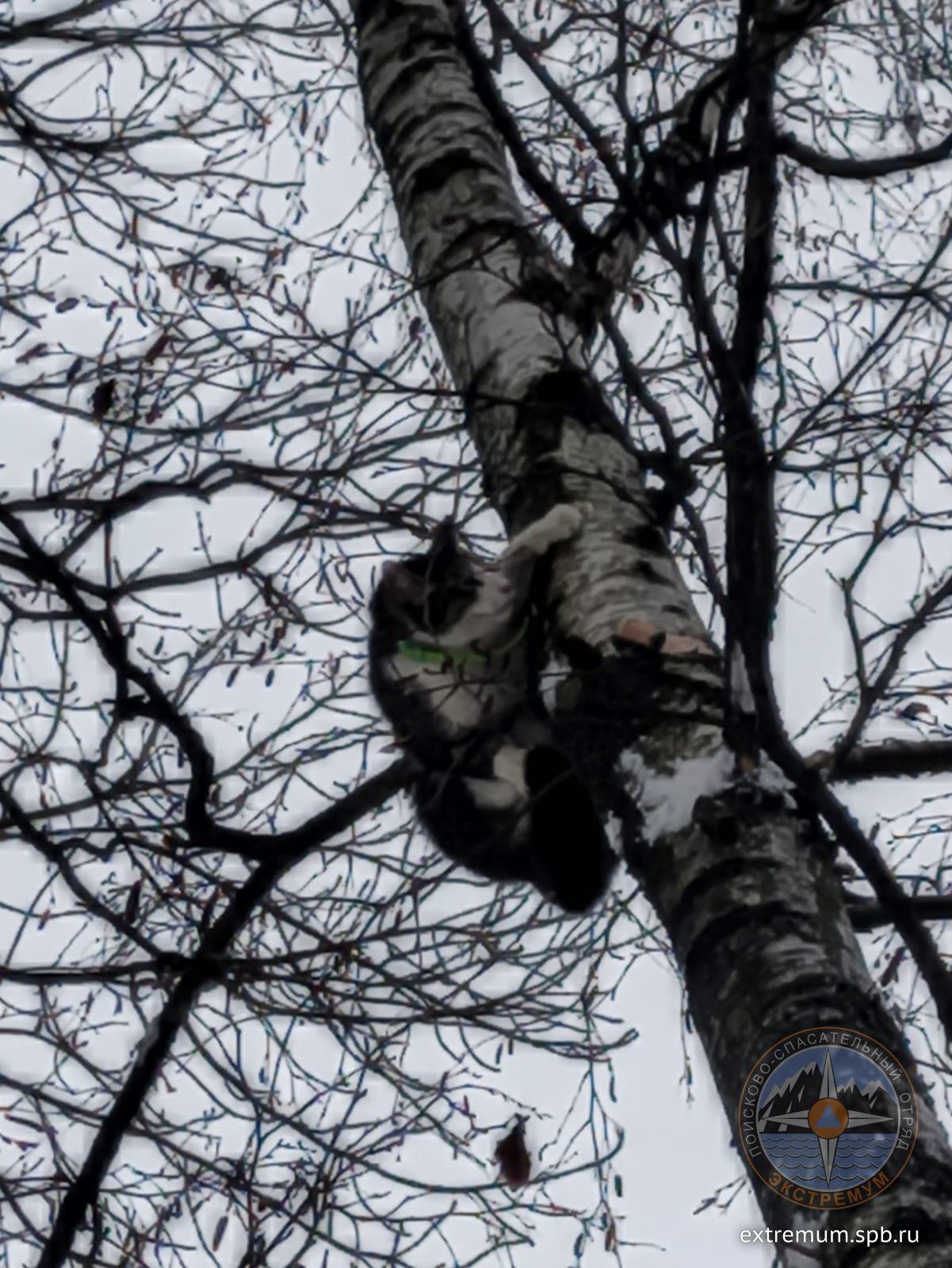 WhatsApp Image 2021-12-14 at 14.25.48.jpeg