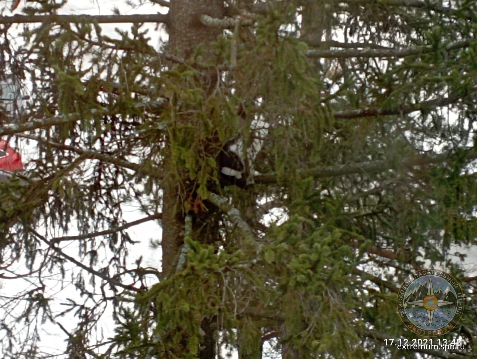 WhatsApp Image 2021-12-17 at 18.08.12.jpeg