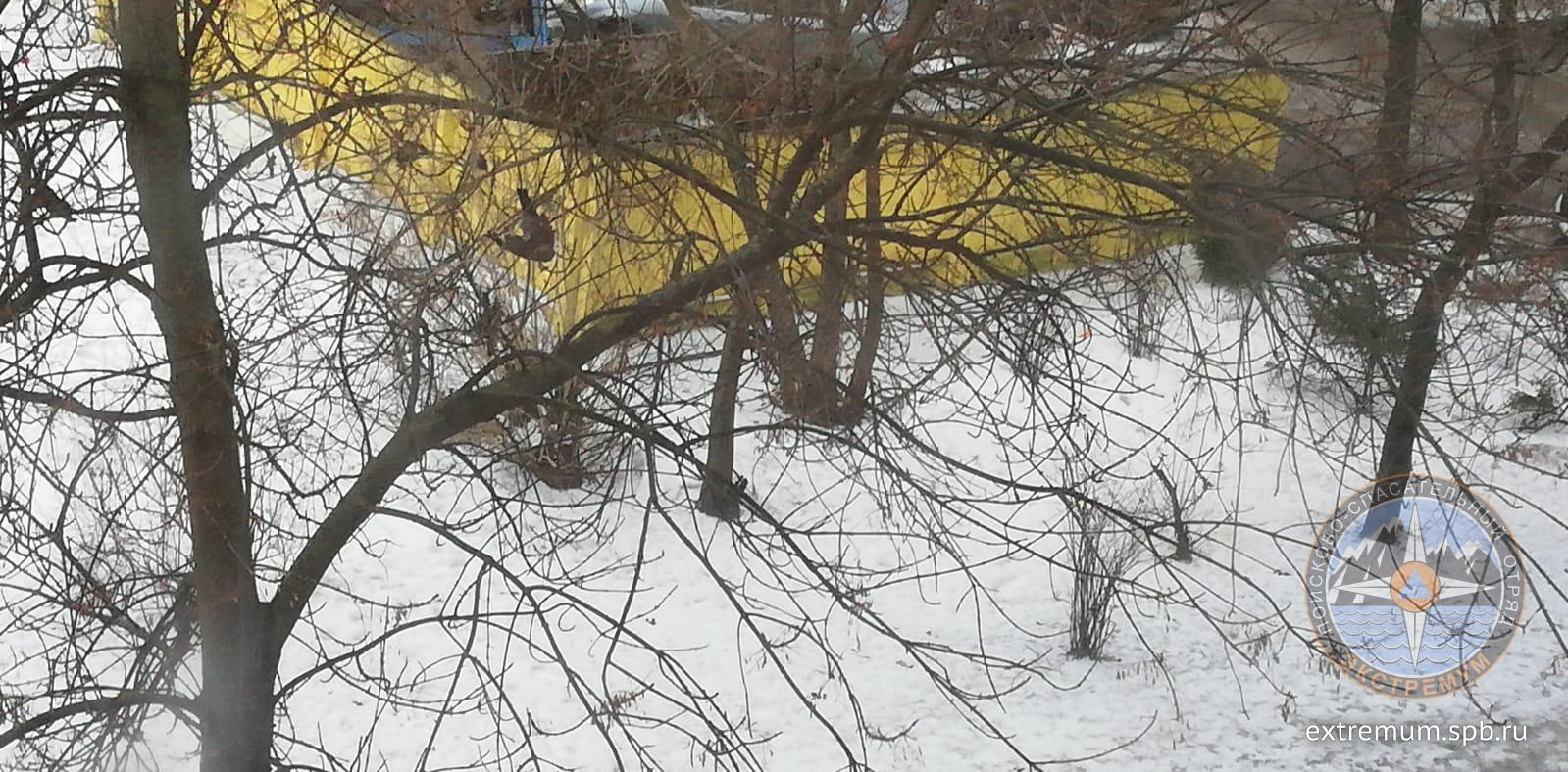 WhatsApp Image 2022-01-19 at 16.27.02.jpeg