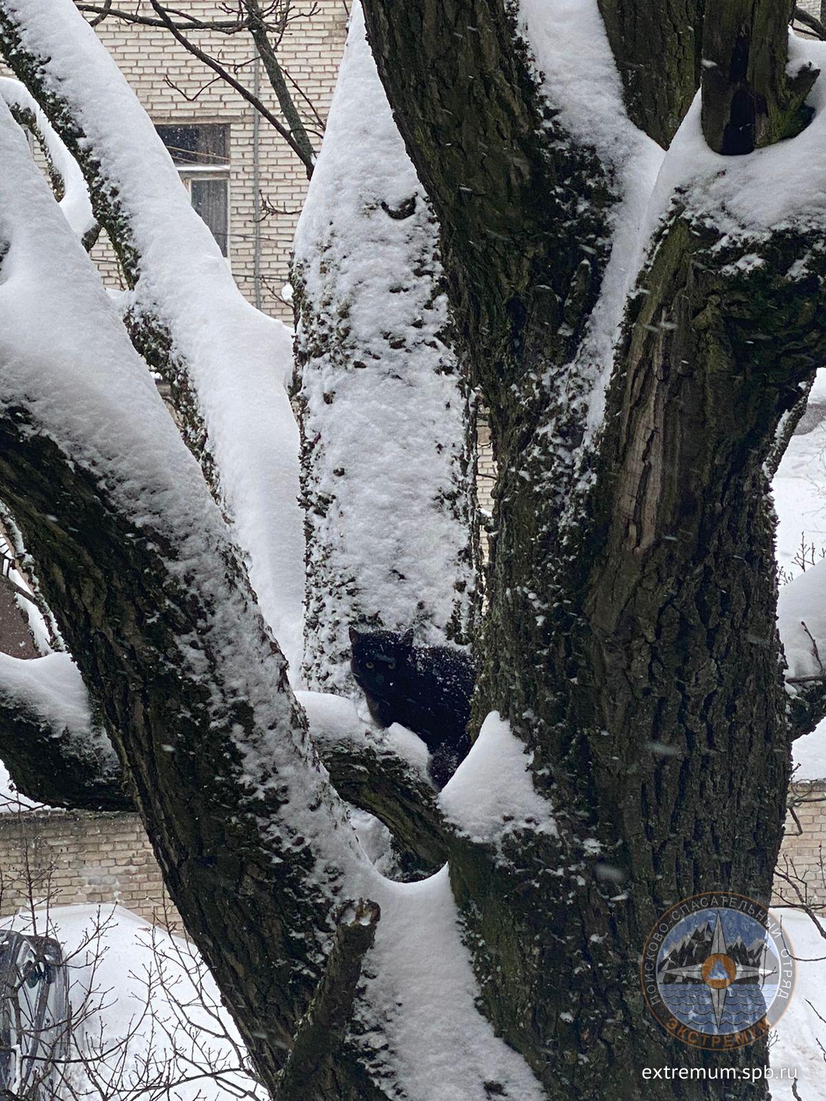 WhatsApp Image 2022-01-30 at 15.09.44.jpeg