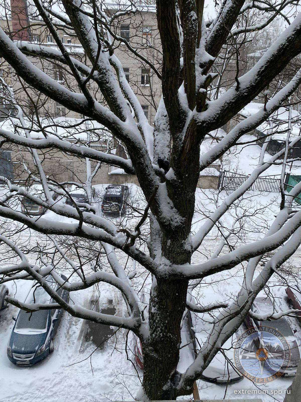 WhatsApp Image 2022-01-30 at 15.09.45.jpeg