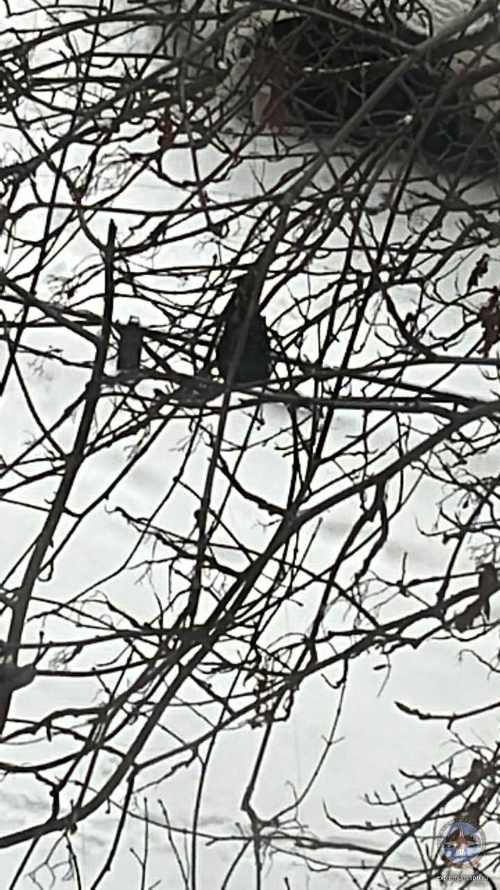 WhatsApp Image 2022-02-02 at 15.24.44.jpeg