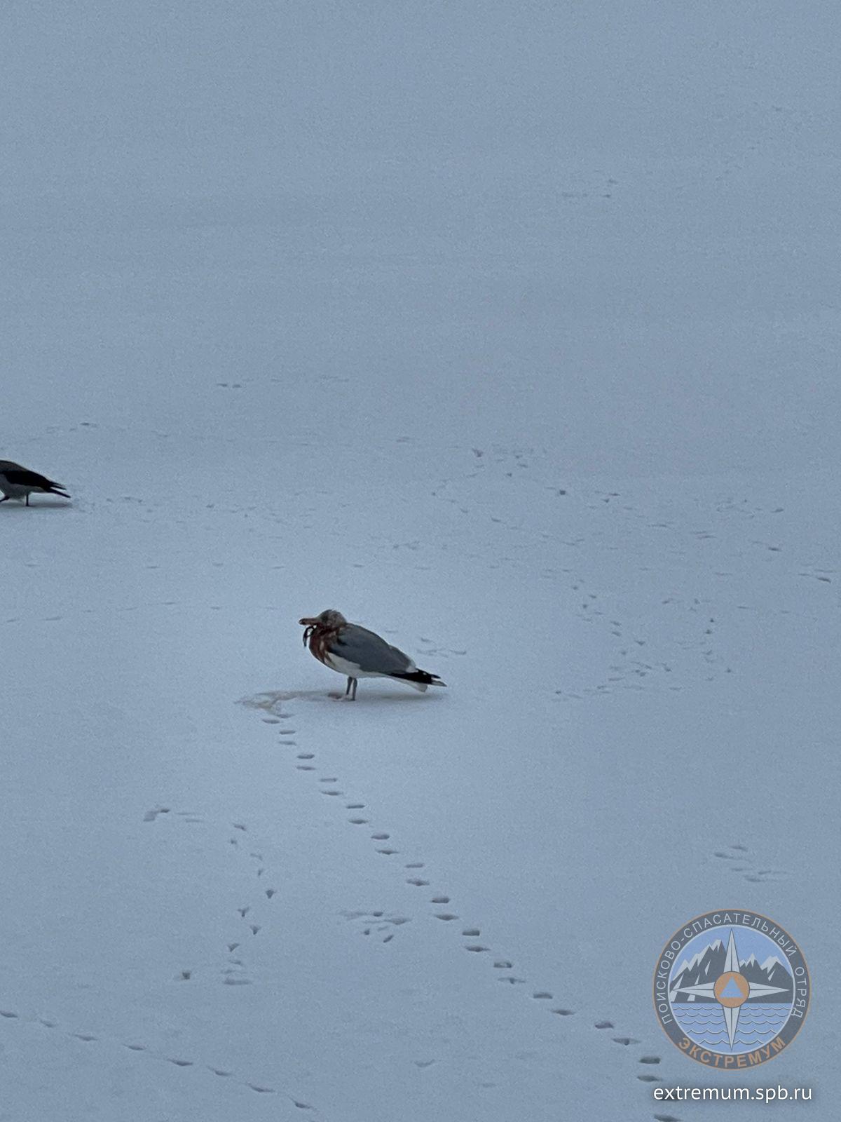 WhatsApp Image 2022-02-14 at 17.17.14.jpeg