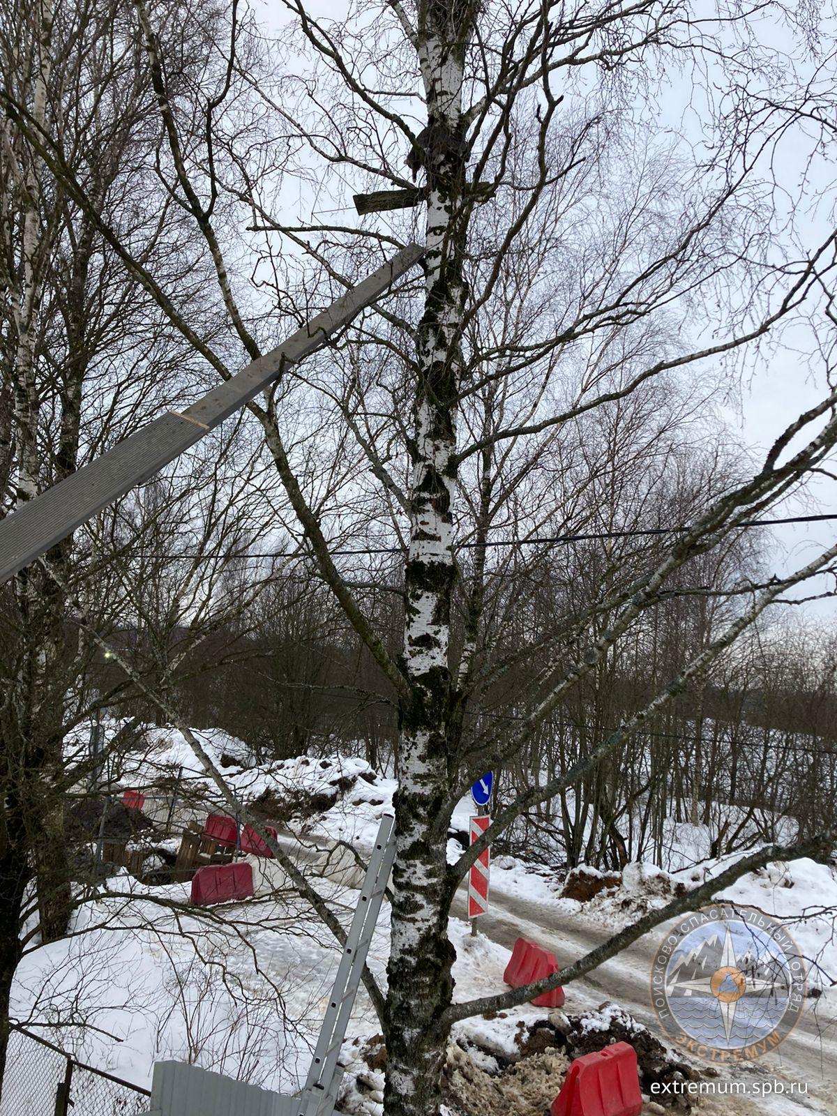 WhatsApp Image 2022-02-16 at 09.40.36.jpeg