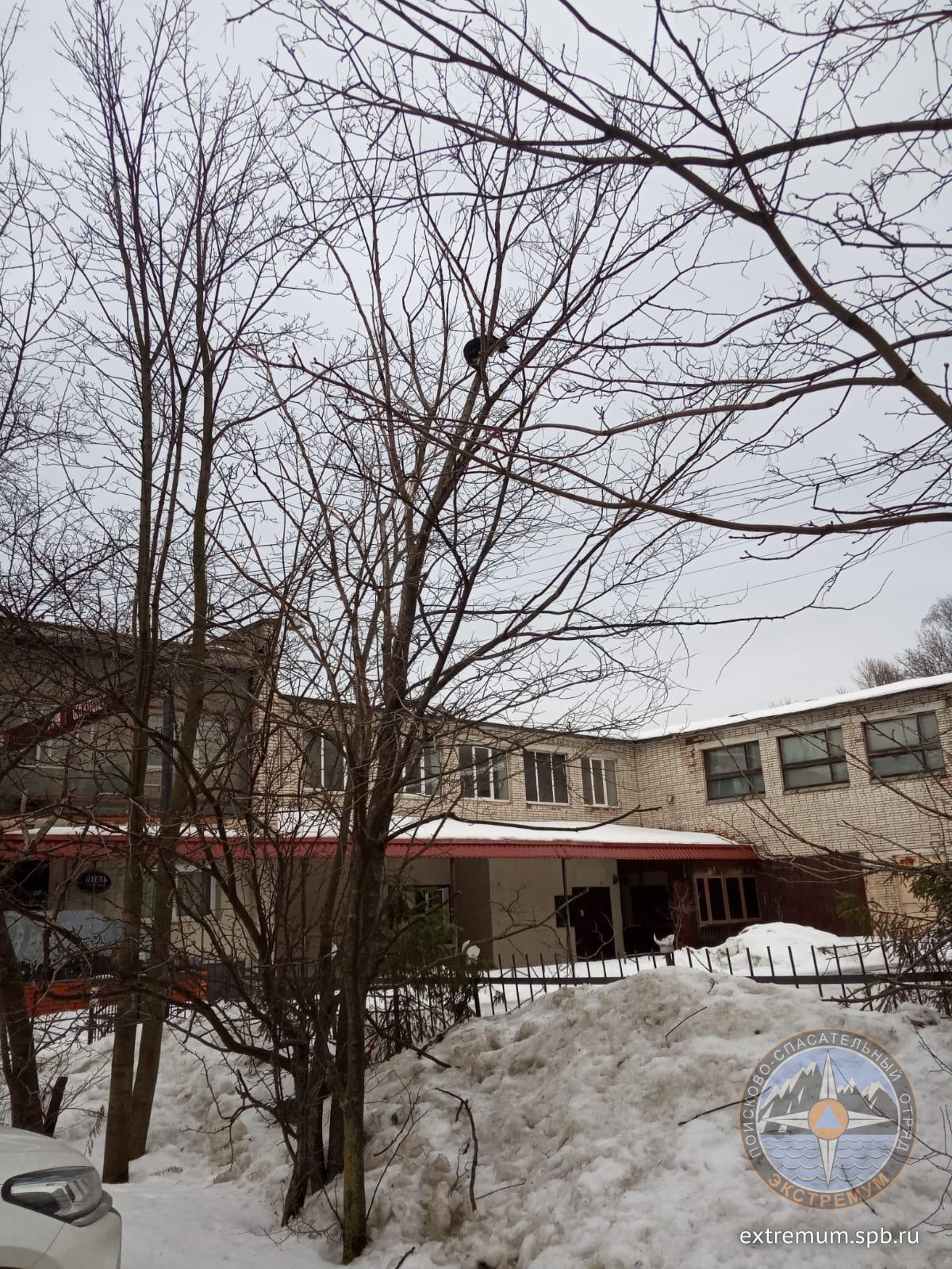 WhatsApp Image 2022-02-16 at 16.39.28.jpeg