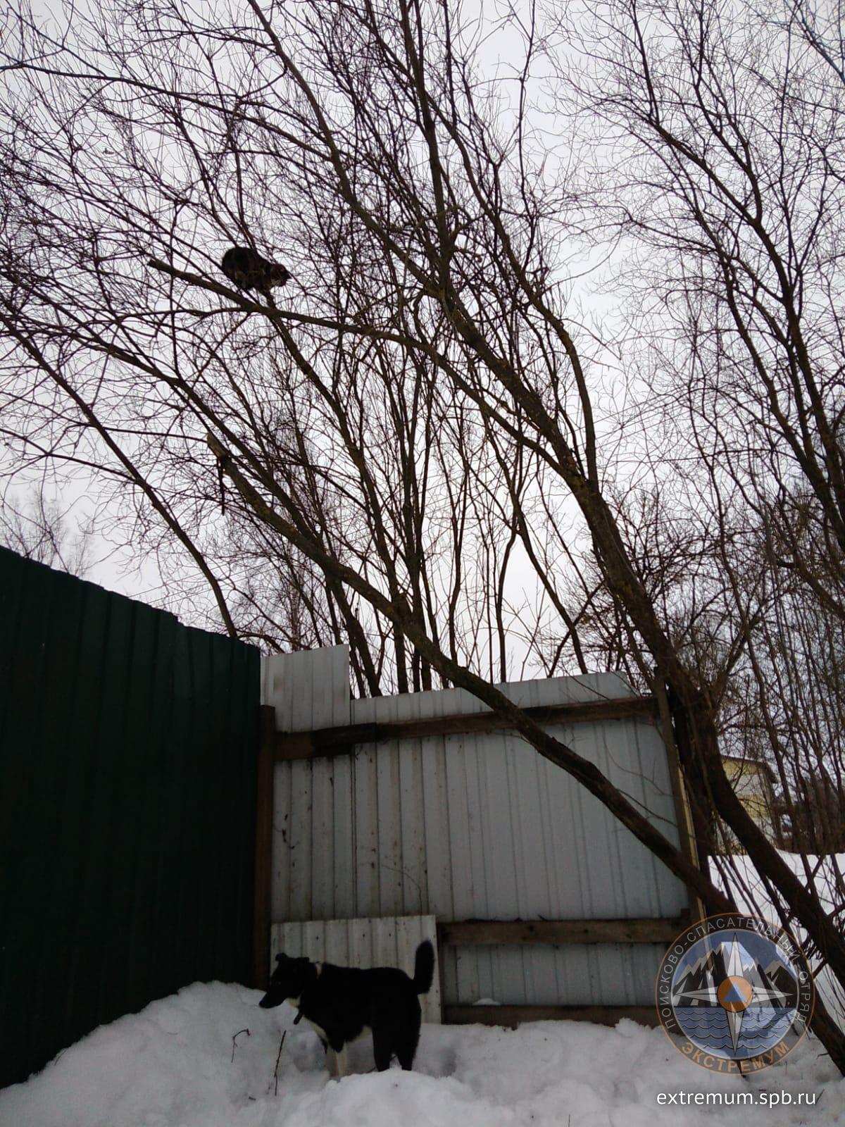 WhatsApp Image 2022-02-16 at 16.54.26.jpeg