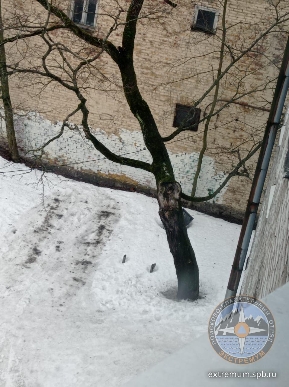 WhatsApp Image 2022-02-16 at 17.27.46.jpeg