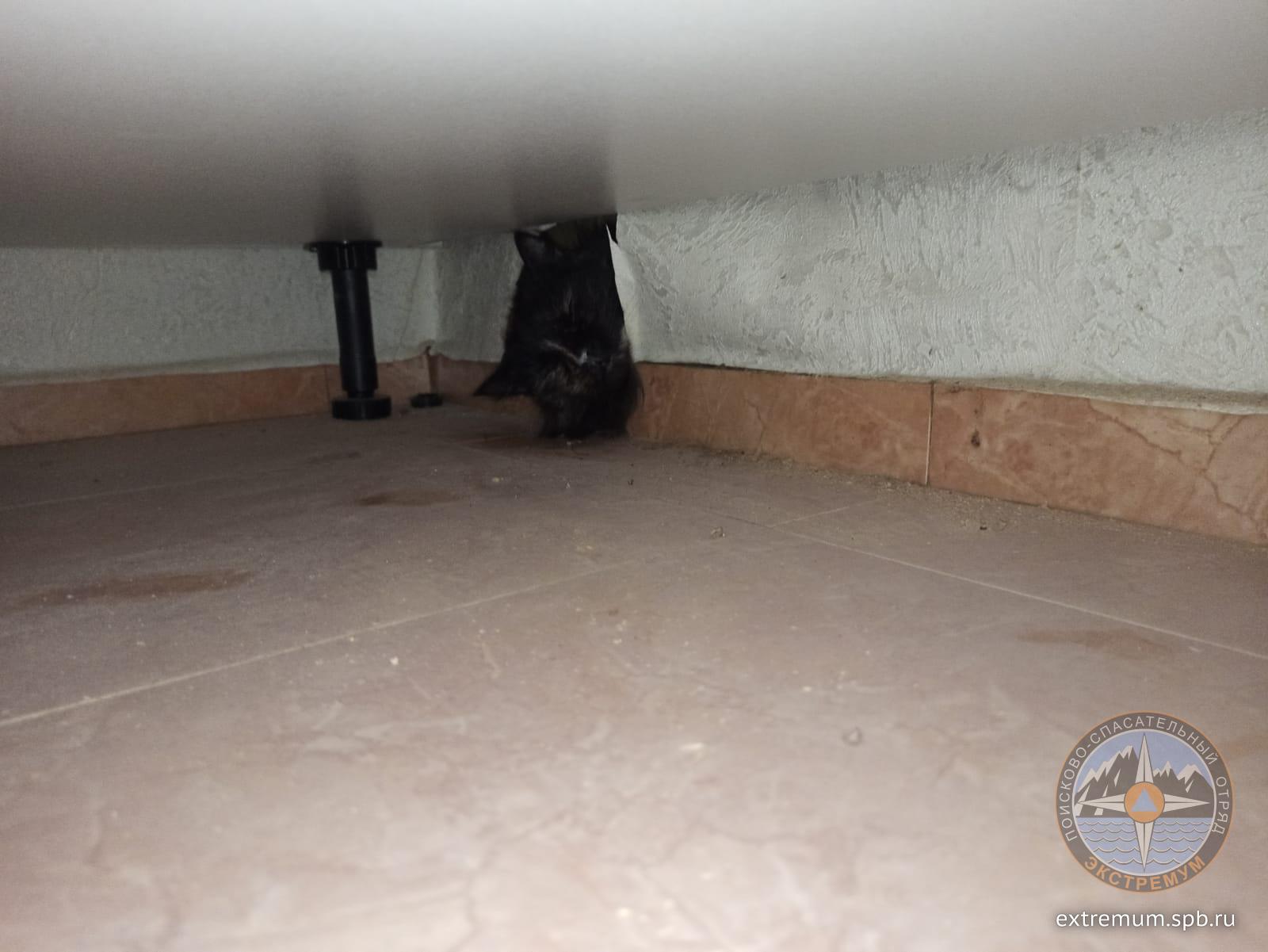 WhatsApp Image 2022-02-28 at 19.08.40 (1).jpeg