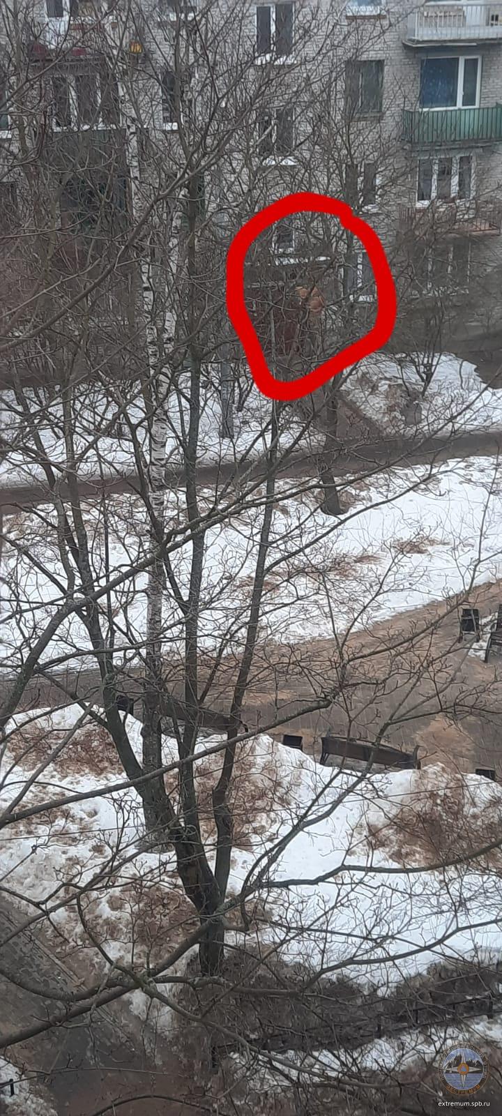 WhatsApp Image 2022-03-11 at 18.37.16 (1).jpeg