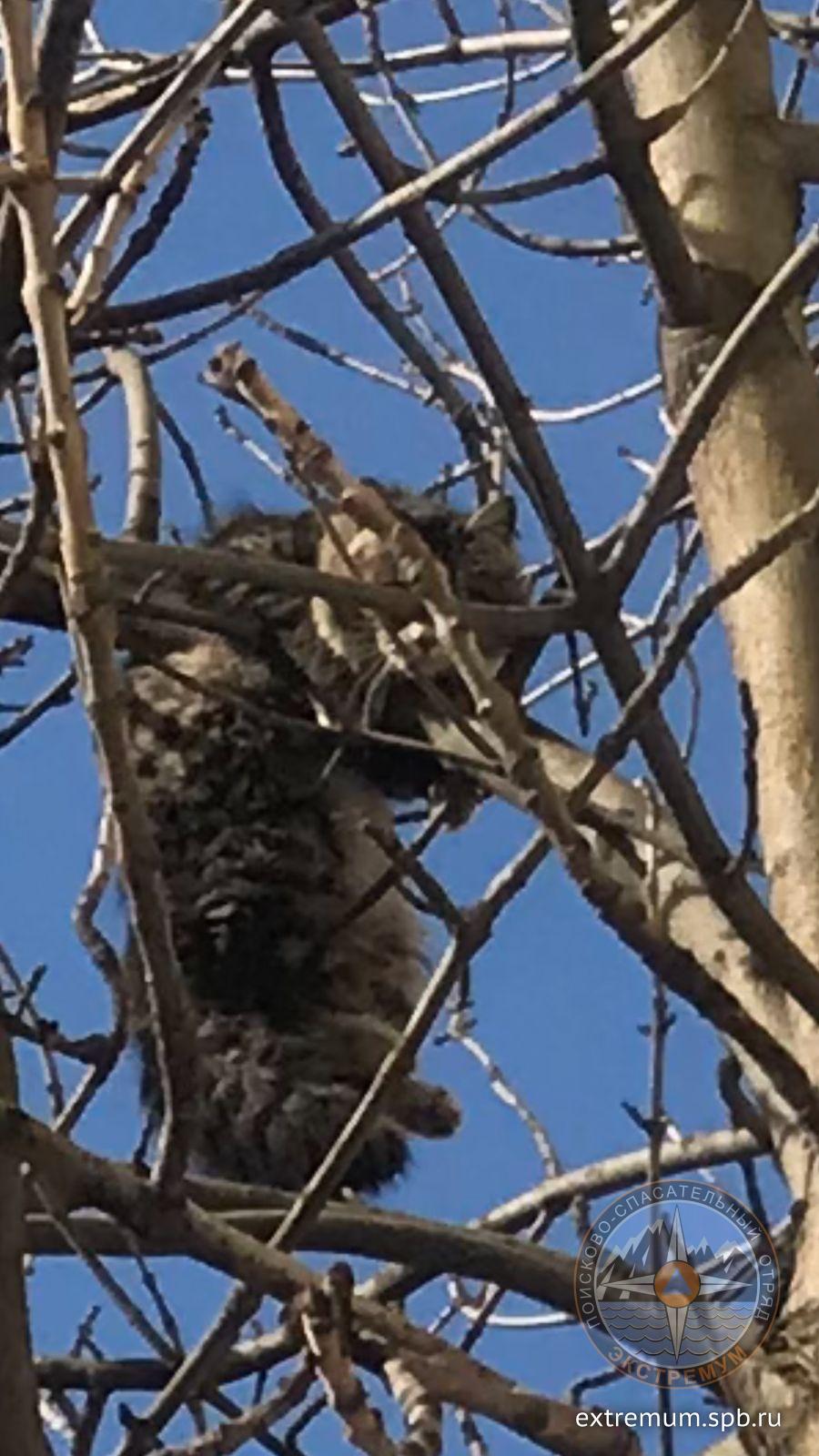 WhatsApp Image 2022-03-16 at 13.25.39.jpeg