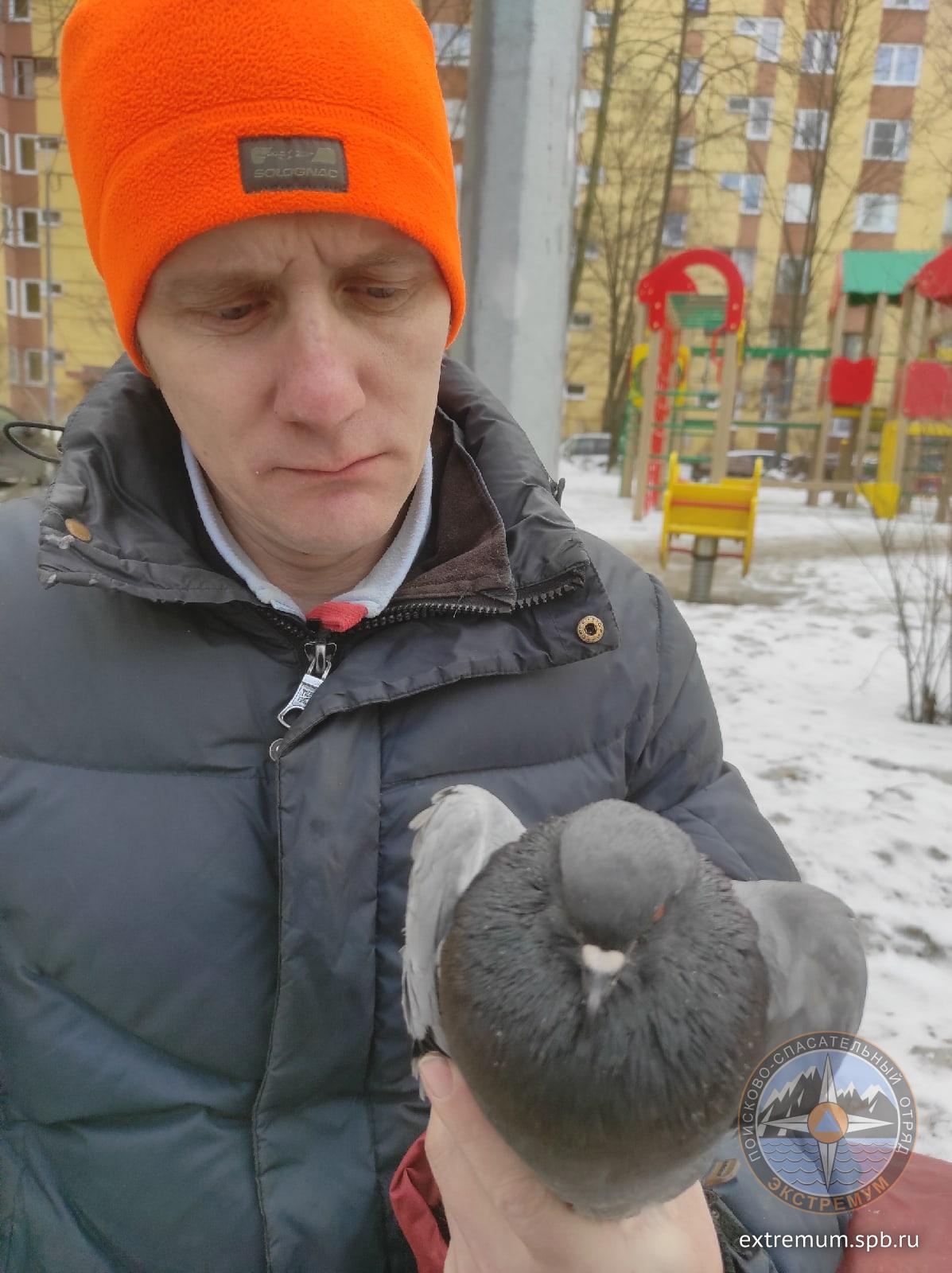 сняли птичку.jpg