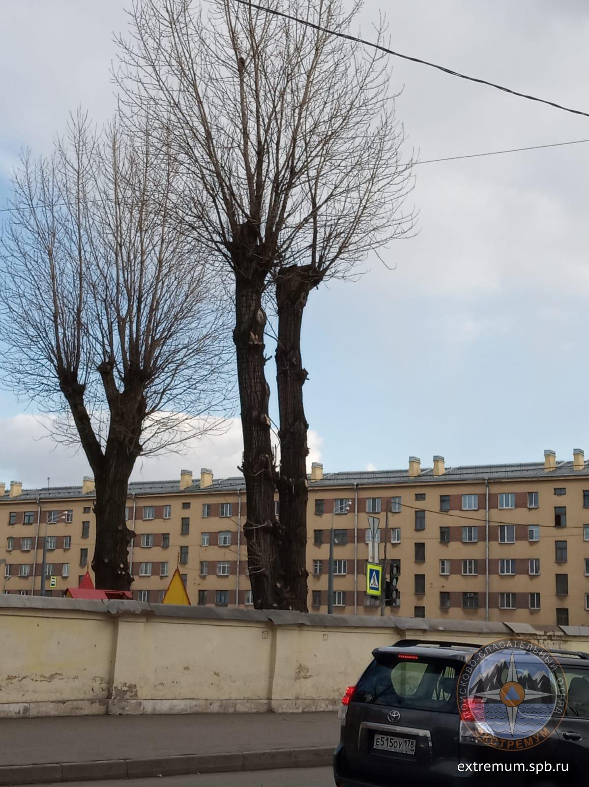 WhatsApp Image 2022-04-02 at 16.47.11 (1).jpeg