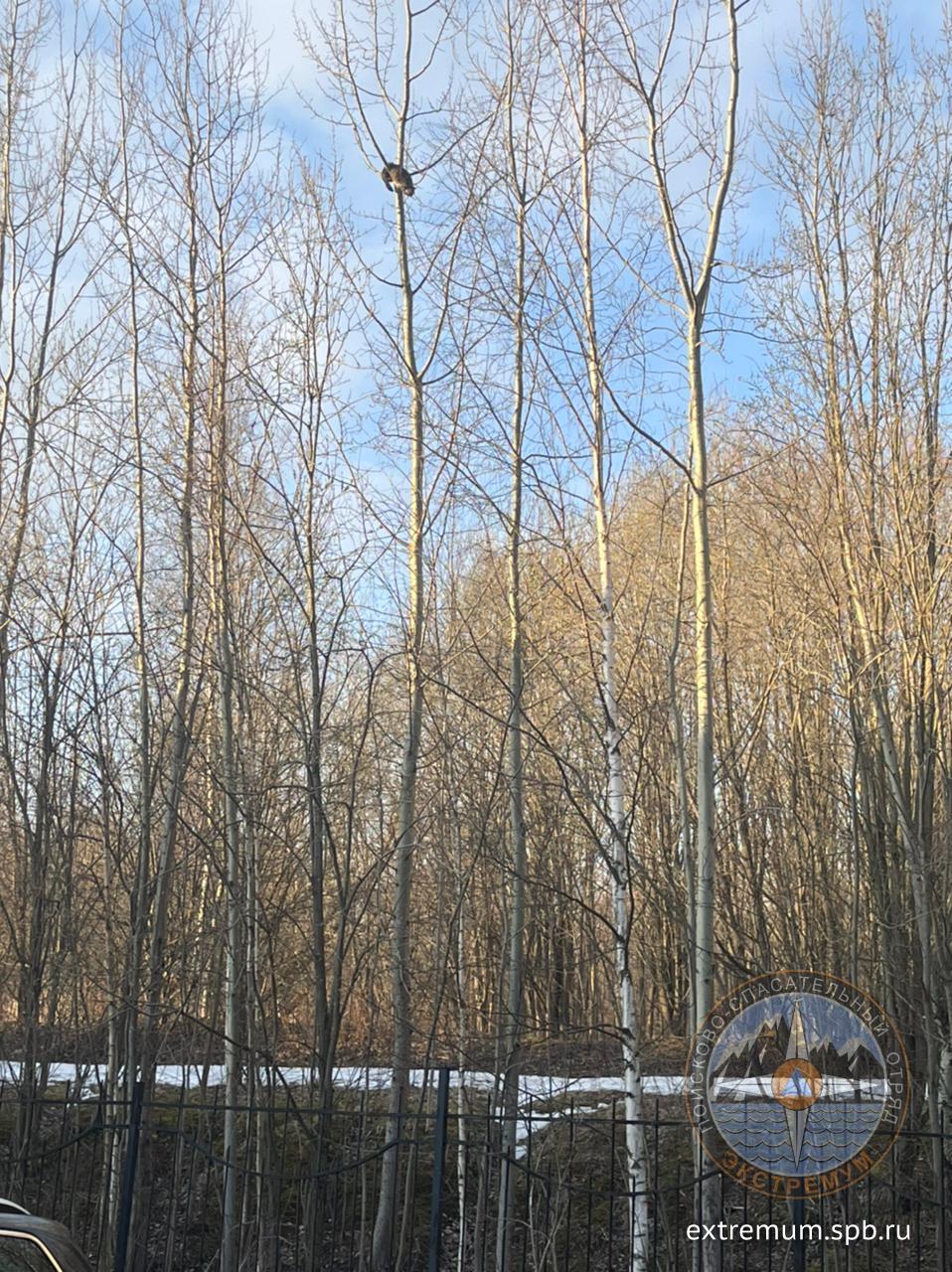 WhatsApp Image 2022-04-02 at 18.33.23.jpeg