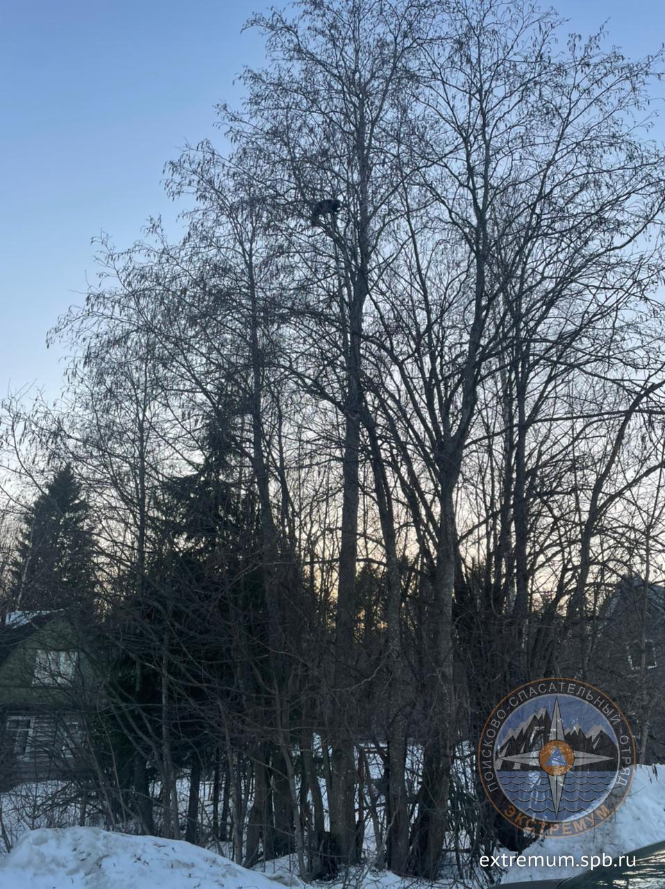 WhatsApp Image 2022-04-02 at 19.25.12.jpeg