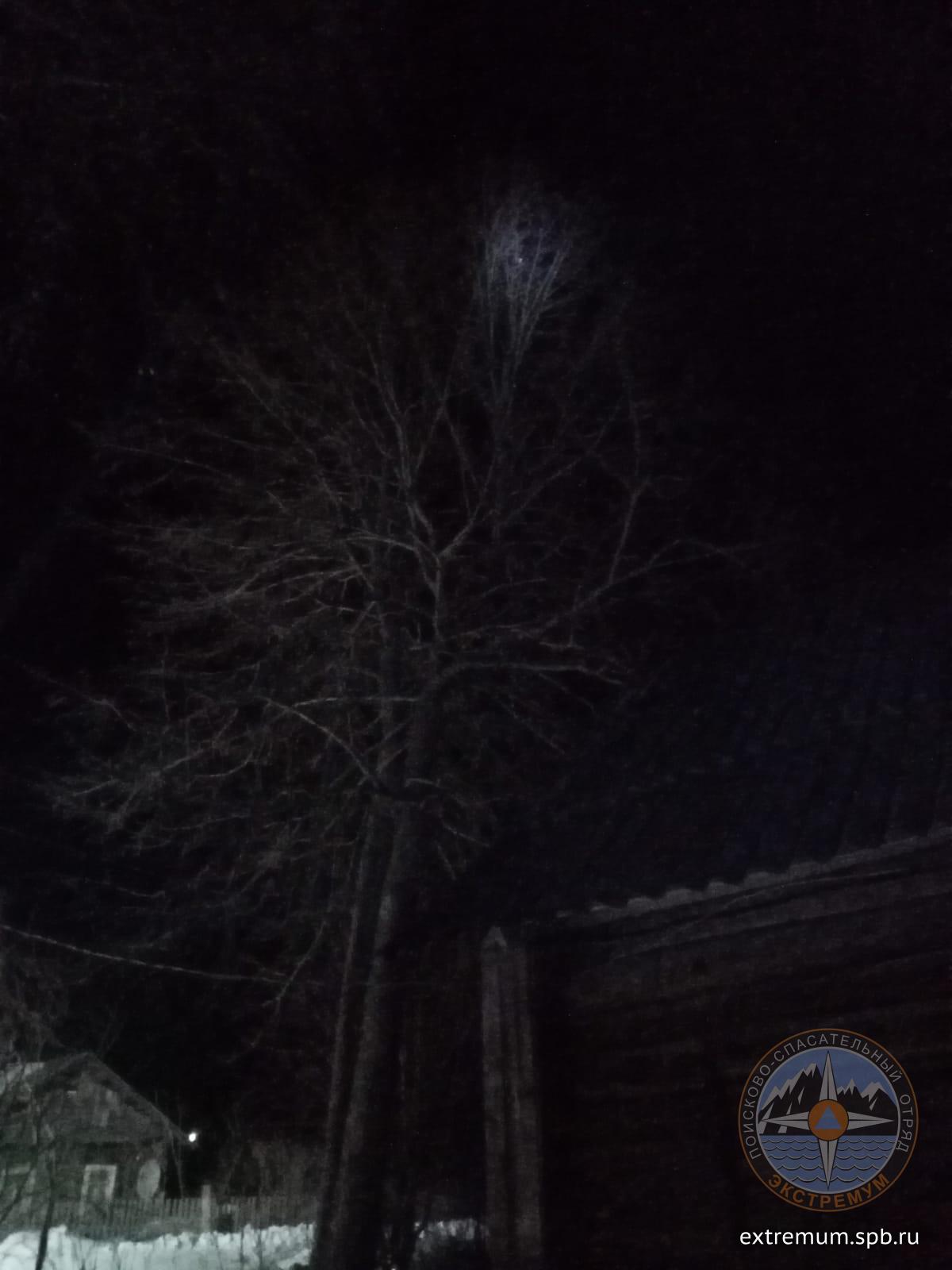 WhatsApp Image 2022-04-02 at 22.09.02.jpeg