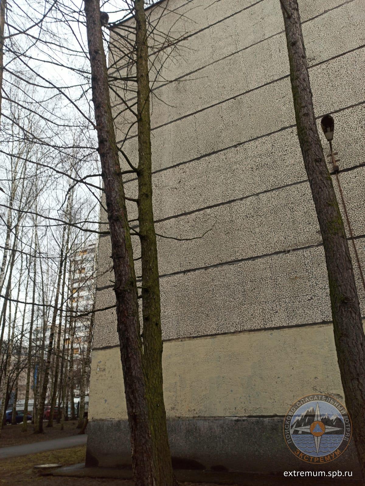 WhatsApp Image 2022-04-08 at 09.54.26.jpeg