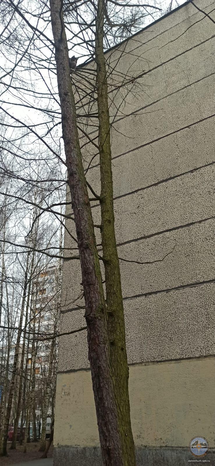 WhatsApp Image 2022-04-08 at 09.54.26 (1).jpeg