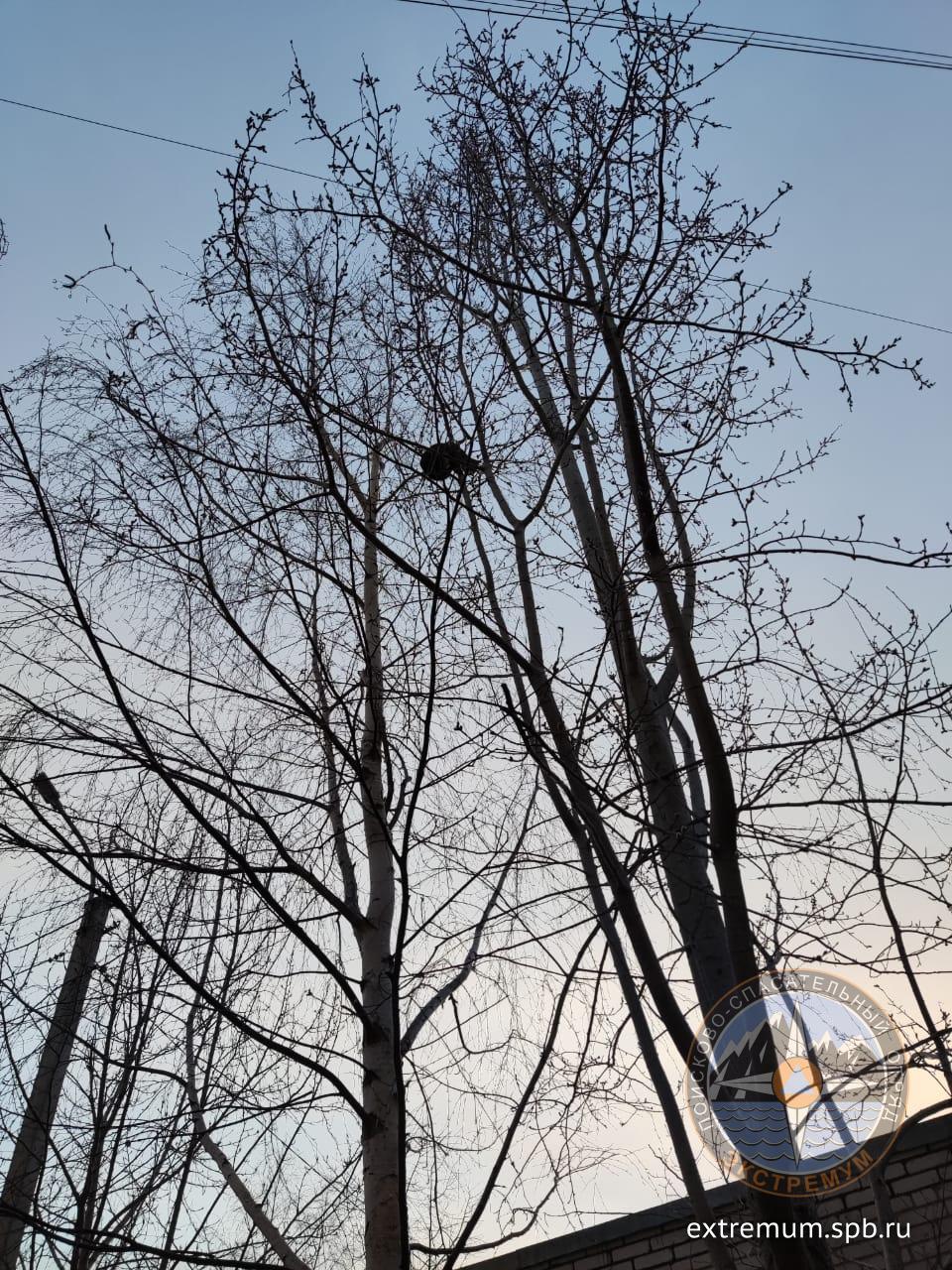 WhatsApp Image 2022-04-08 at 20.05.57.jpeg