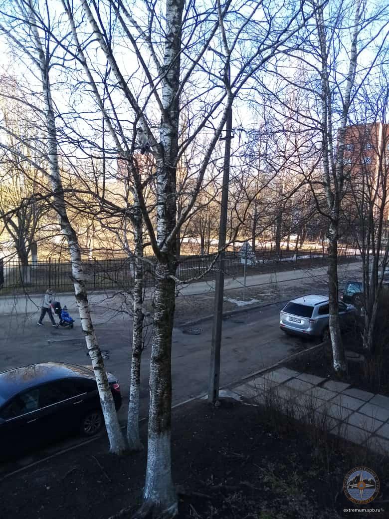 WhatsApp Image 2022-04-13 at 09.16.26.jpeg