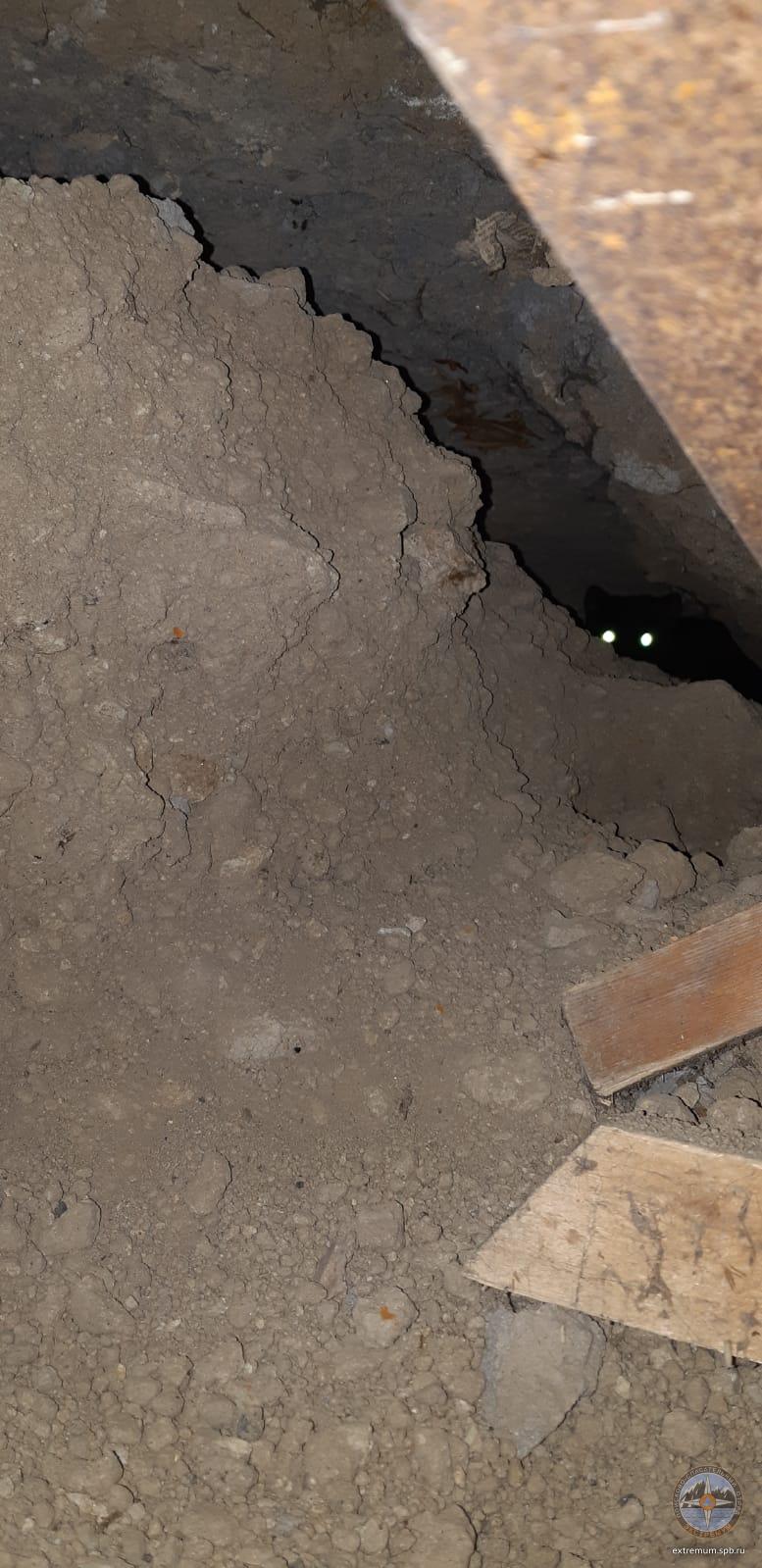 WhatsApp Image 2022-04-16 at 15.53.23.jpeg