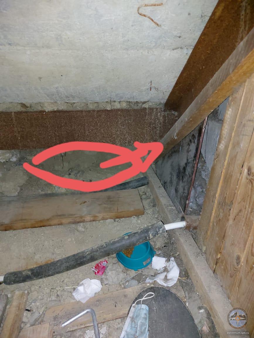 WhatsApp Image 2022-04-16 at 15.53.45.jpeg