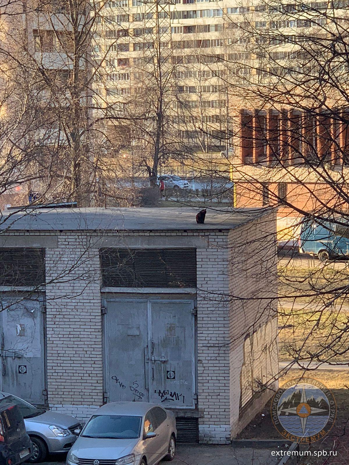 WhatsApp Image 2022-04-16 at 18.41.30.jpeg