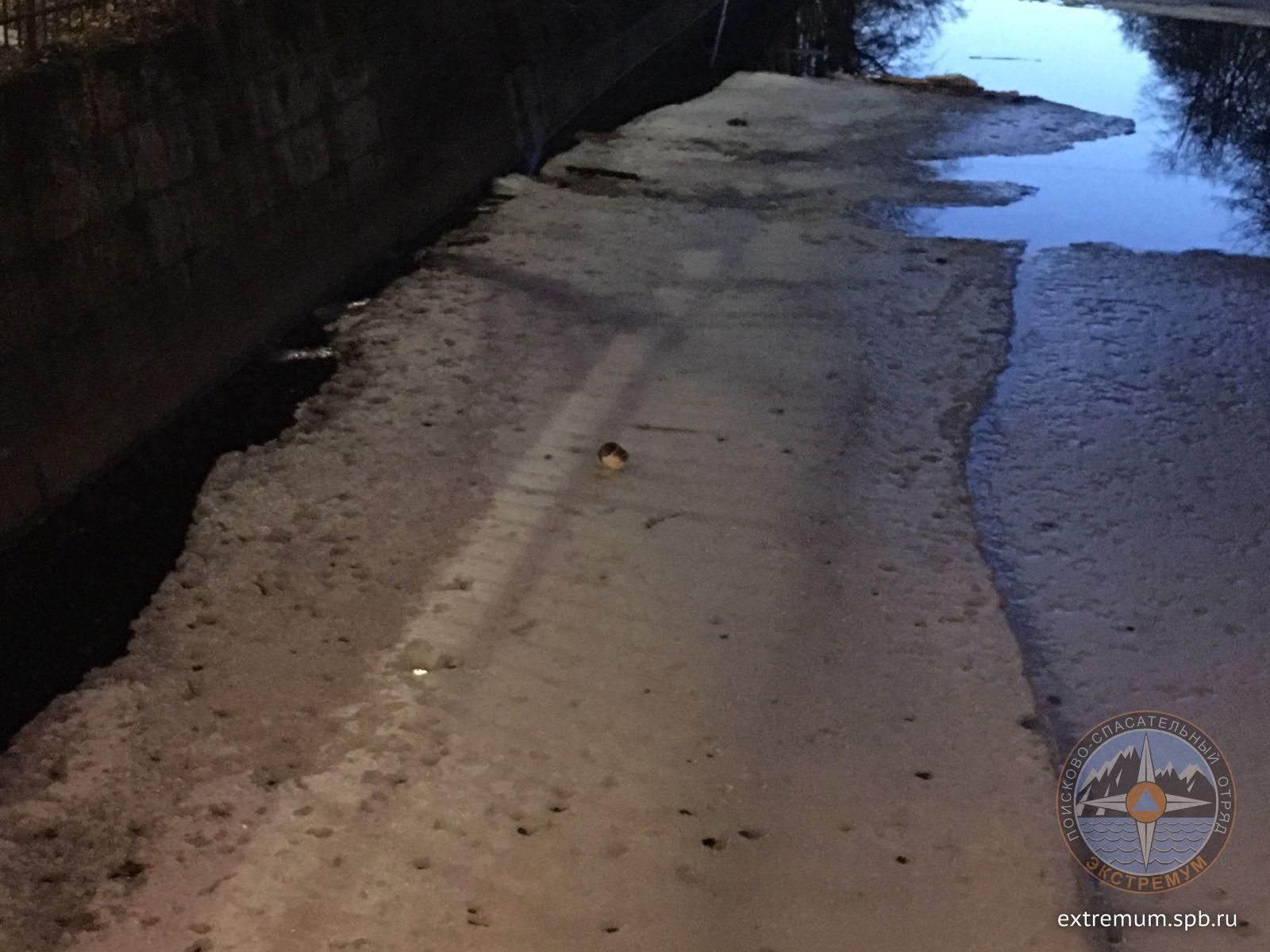 WhatsApp Image 2022-04-16 at 21.23.03.jpeg