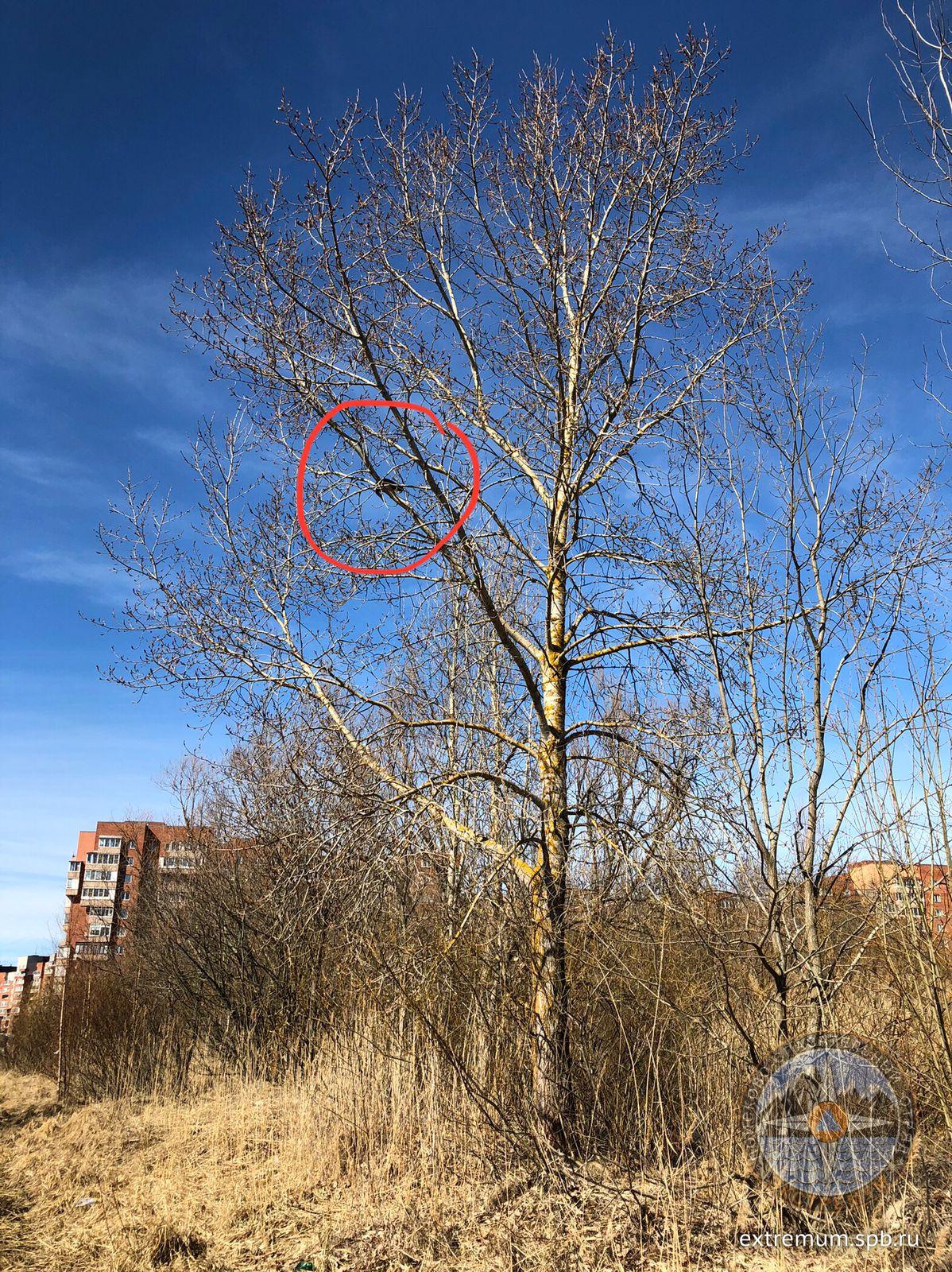 WhatsApp Image 2022-04-17 at 12.46.52.jpeg