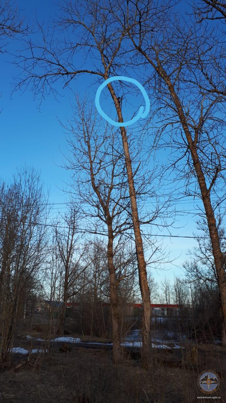 WhatsApp Image 2022-04-17 at 19.26.55.jpeg