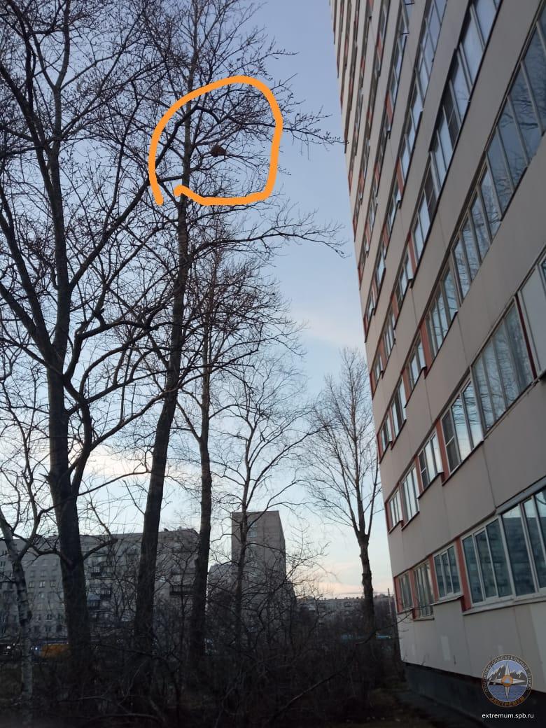 WhatsApp Image 2022-04-17 at 19.52.42 (1).jpeg