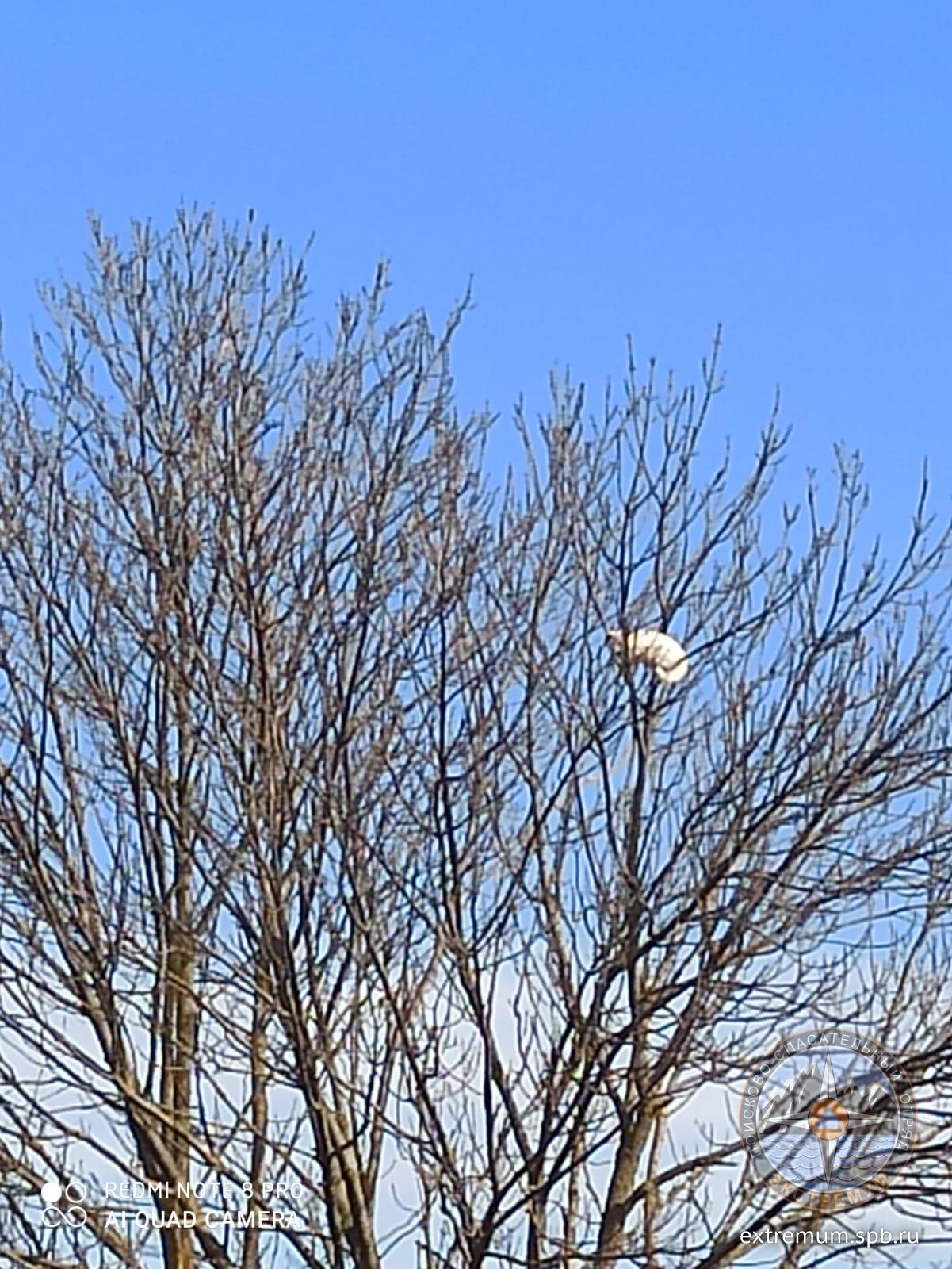 WhatsApp Image 2022-04-23 at 09.55.30.jpeg