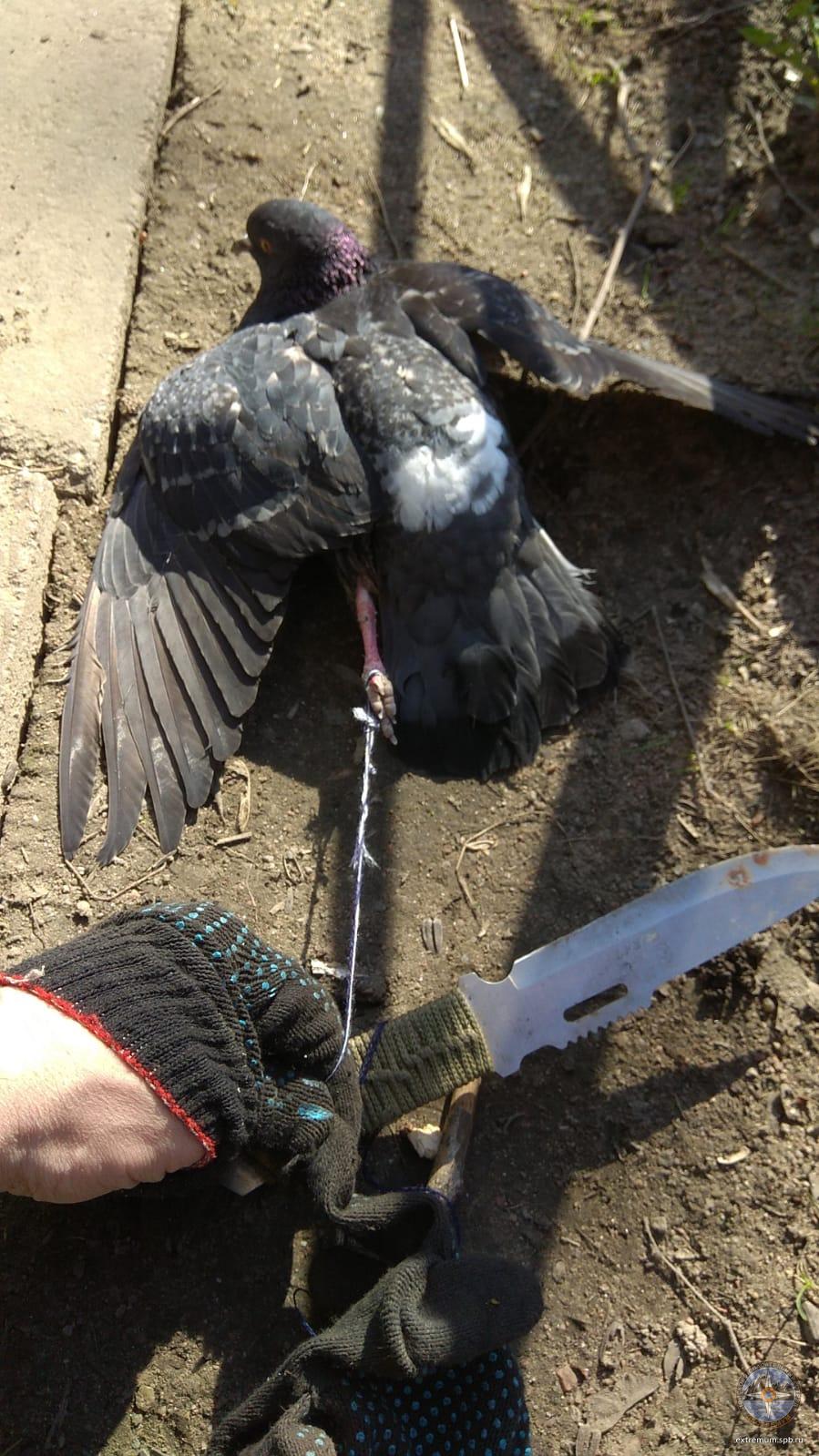 WhatsApp Image 2022-04-23 at 10.38.33.jpeg