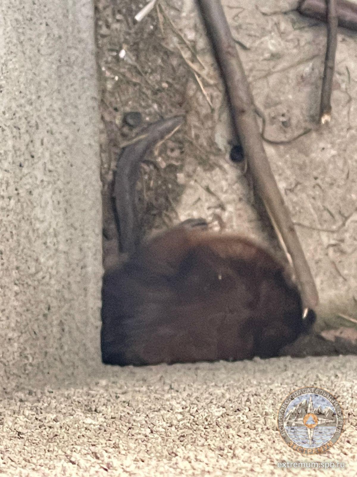 WhatsApp Image 2022-04-23 at 15.46.51.jpeg