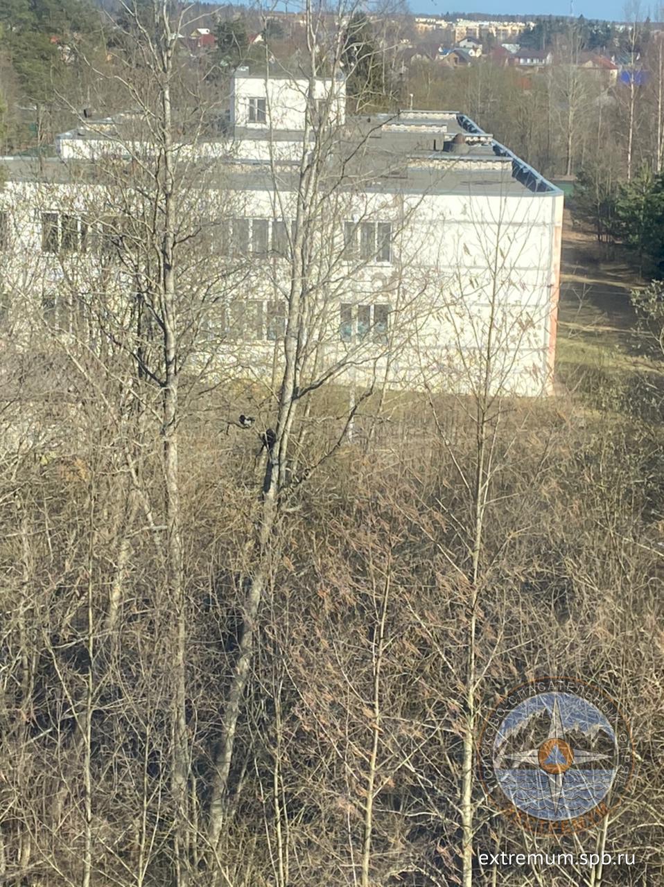 WhatsApp Image 2022-04-23 at 16.46.27.jpeg