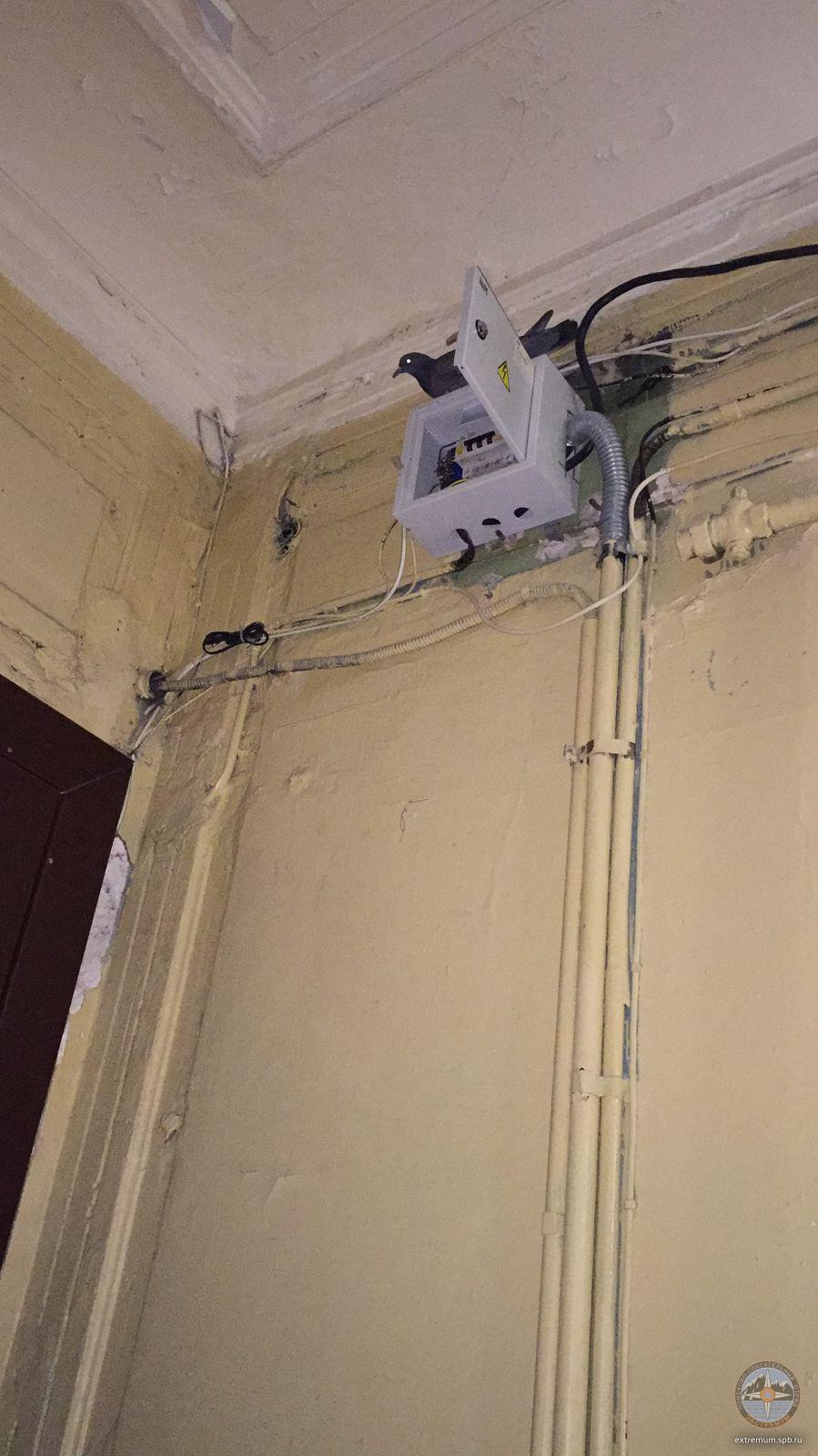 WhatsApp Image 2022-04-29 at 14.52.49.jpeg