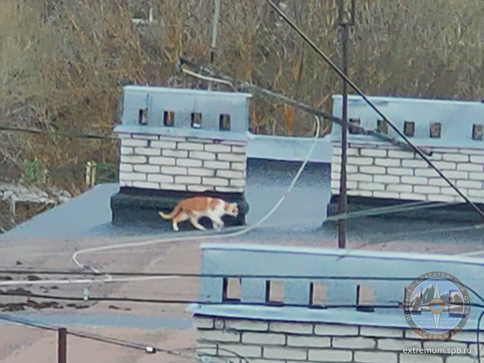 WhatsApp Image 2022-04-29 at 20.30.38.jpeg