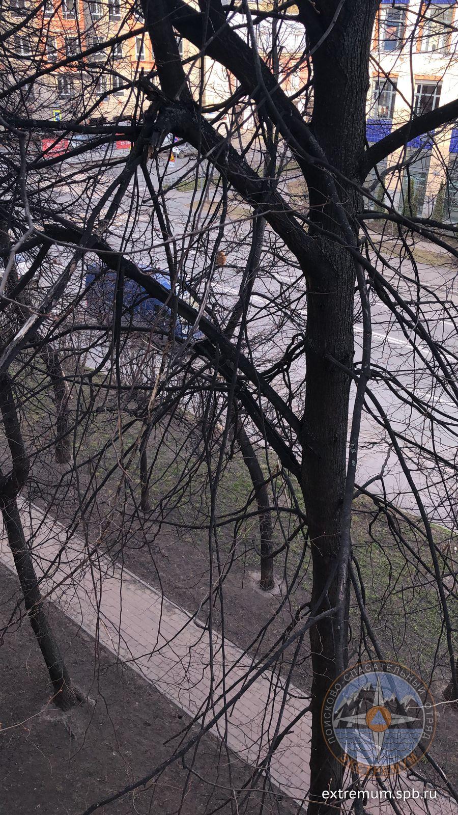 WhatsApp Image 2022-04-30 at 18.51.37.jpeg