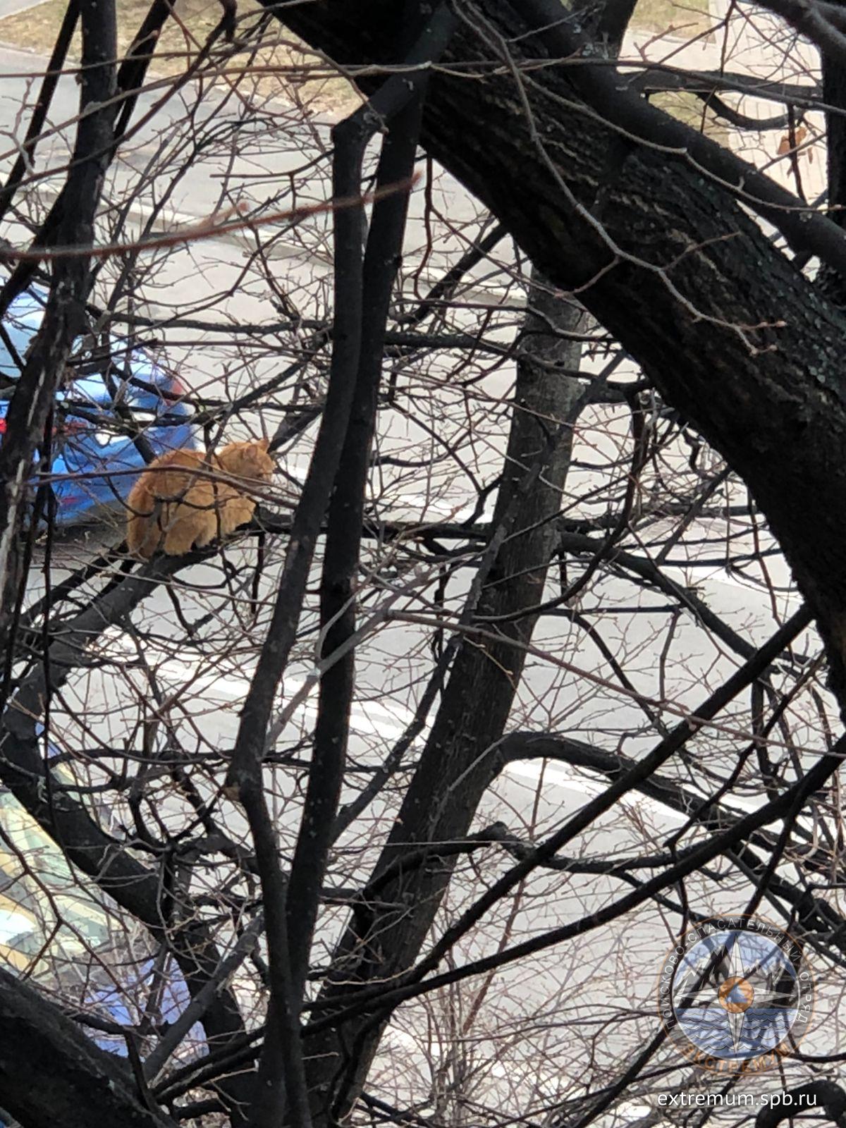 WhatsApp Image 2022-04-30 at 18.49.57.jpeg