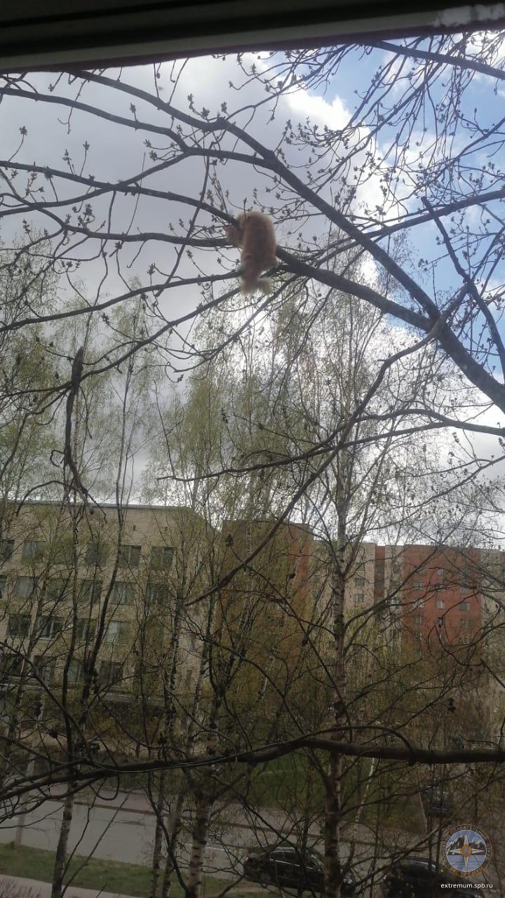 WhatsApp Image 2022-05-08 at 11.05.45.jpeg