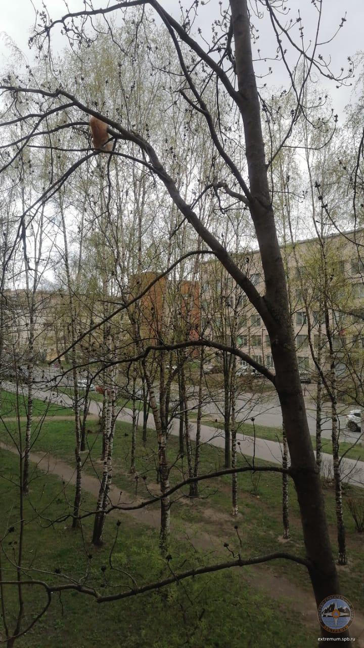 WhatsApp Image 2022-05-08 at 11.05.20 (1).jpeg