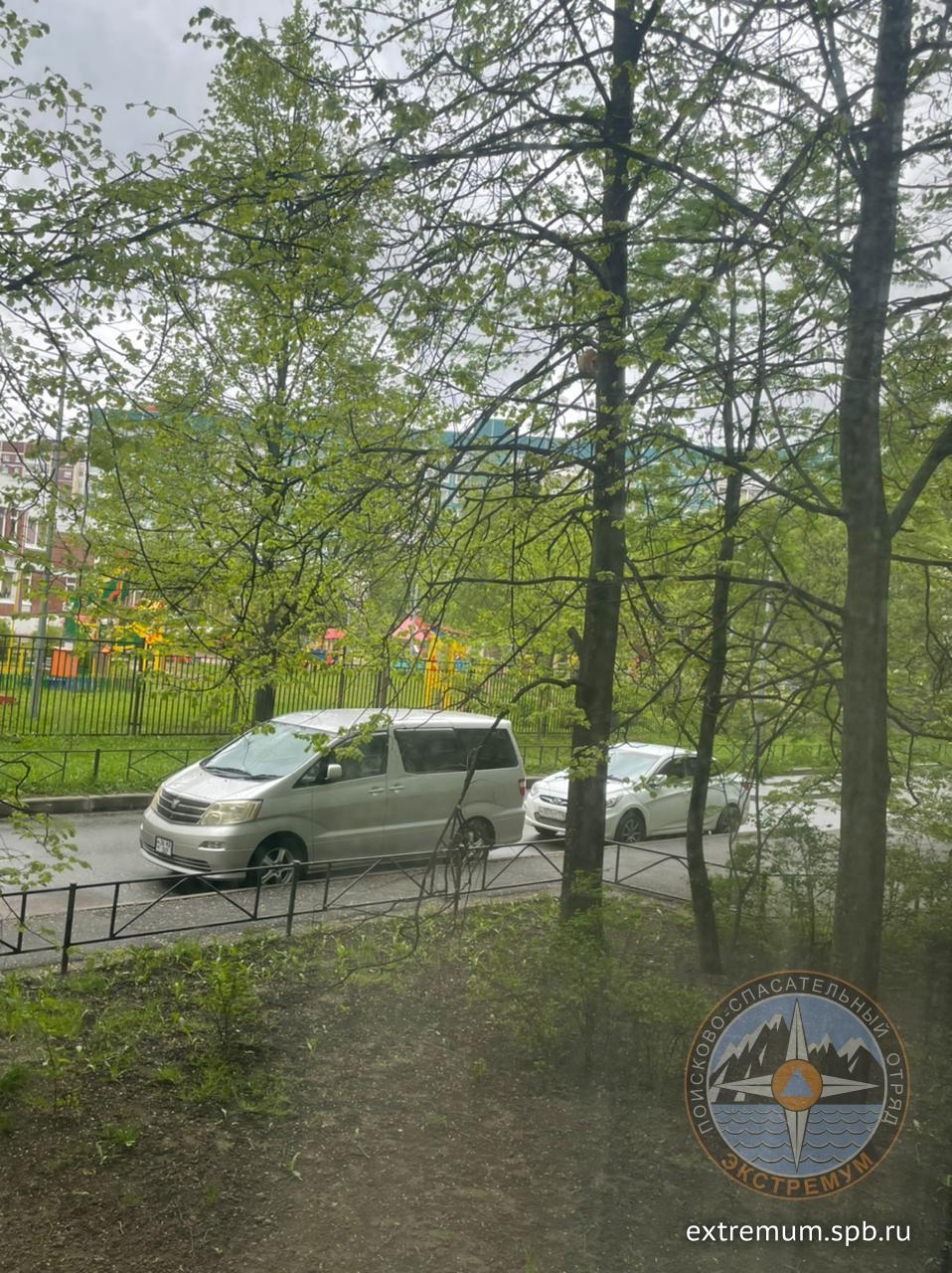 WhatsApp Image 2022-05-27 at 11.52.07.jpeg