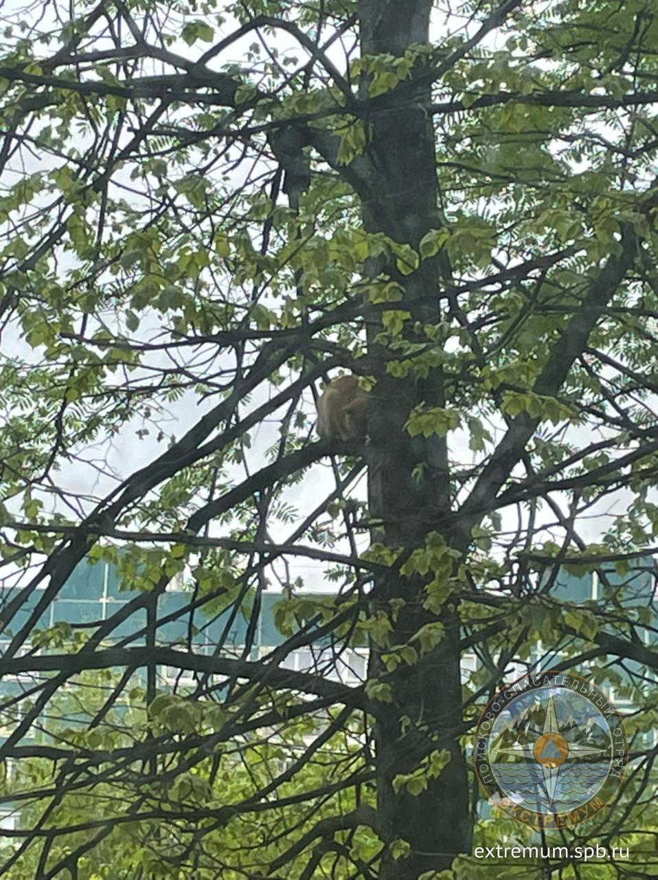 WhatsApp Image 2022-05-27 at 11.52.16.jpeg