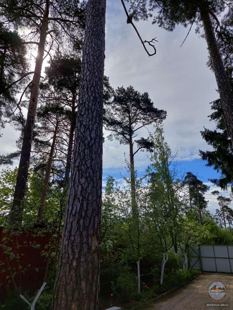 WhatsApp Image 2022-05-29 at 10.35.47.jpeg