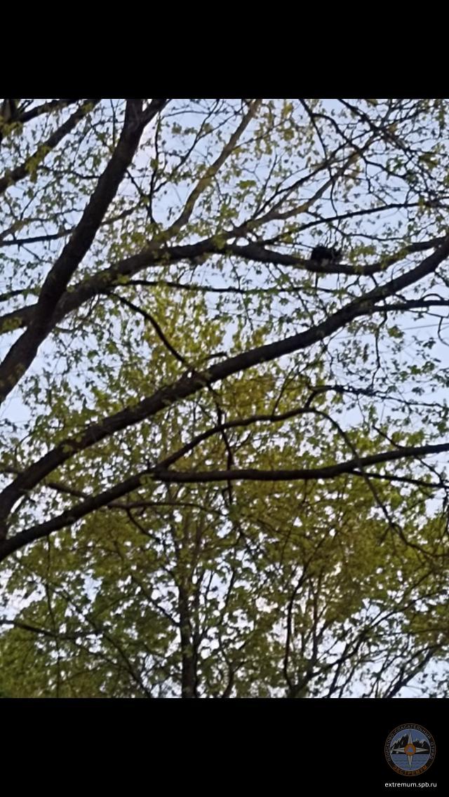 WhatsApp Image 2022-05-29 at 21.54.01.jpeg