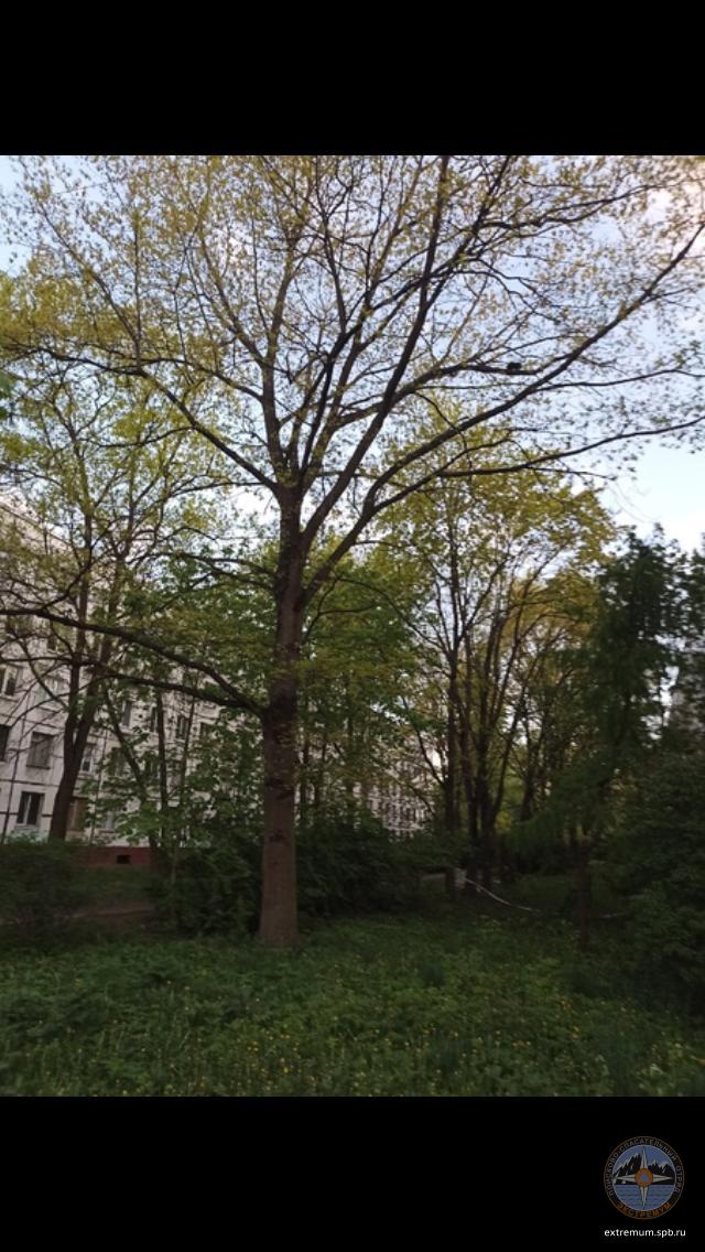 WhatsApp Image 2022-05-29 at 21.53.54.jpeg